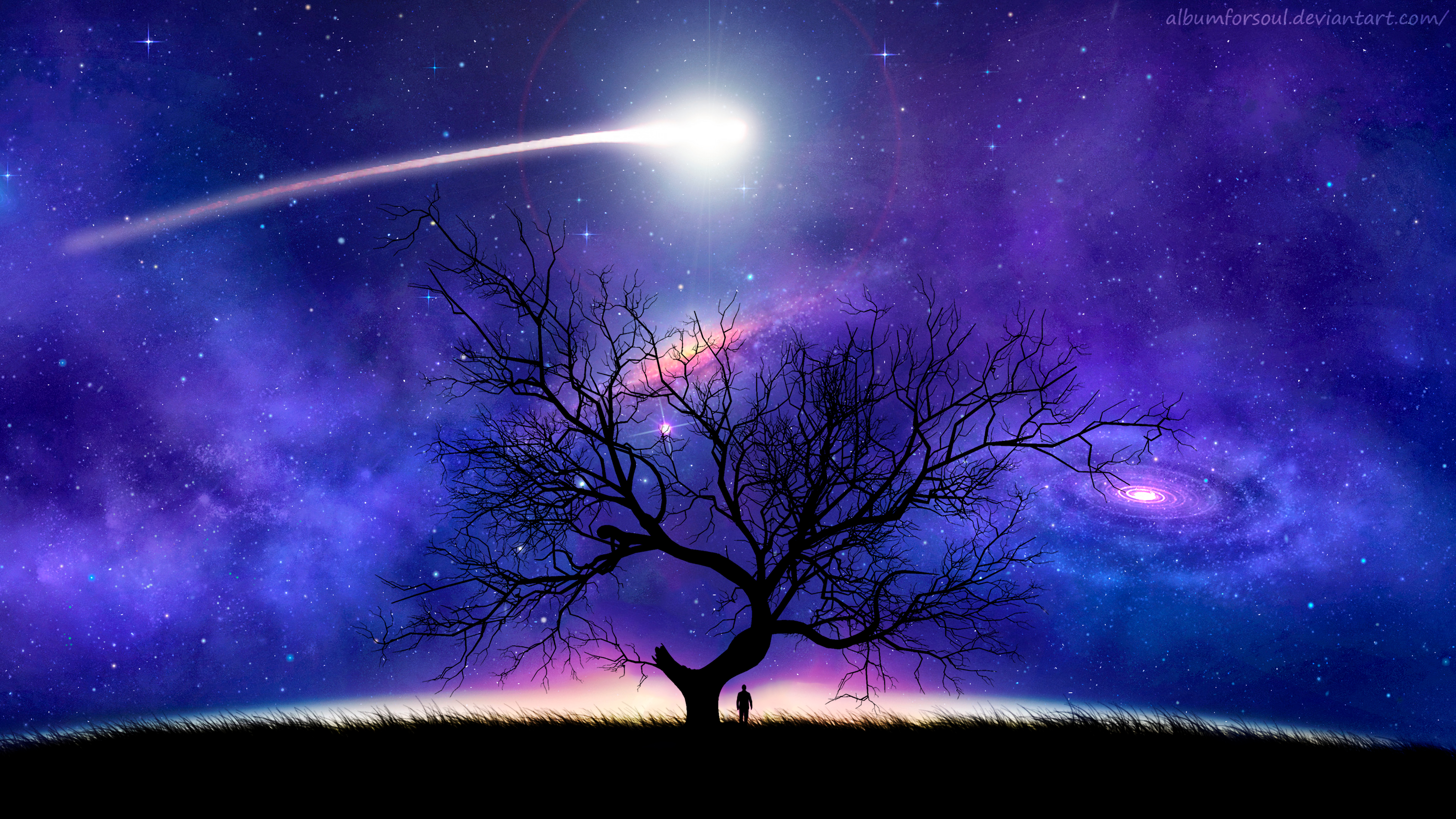 night, silhouette, universe, comet, art, tree, wood, starry sky HD wallpaper