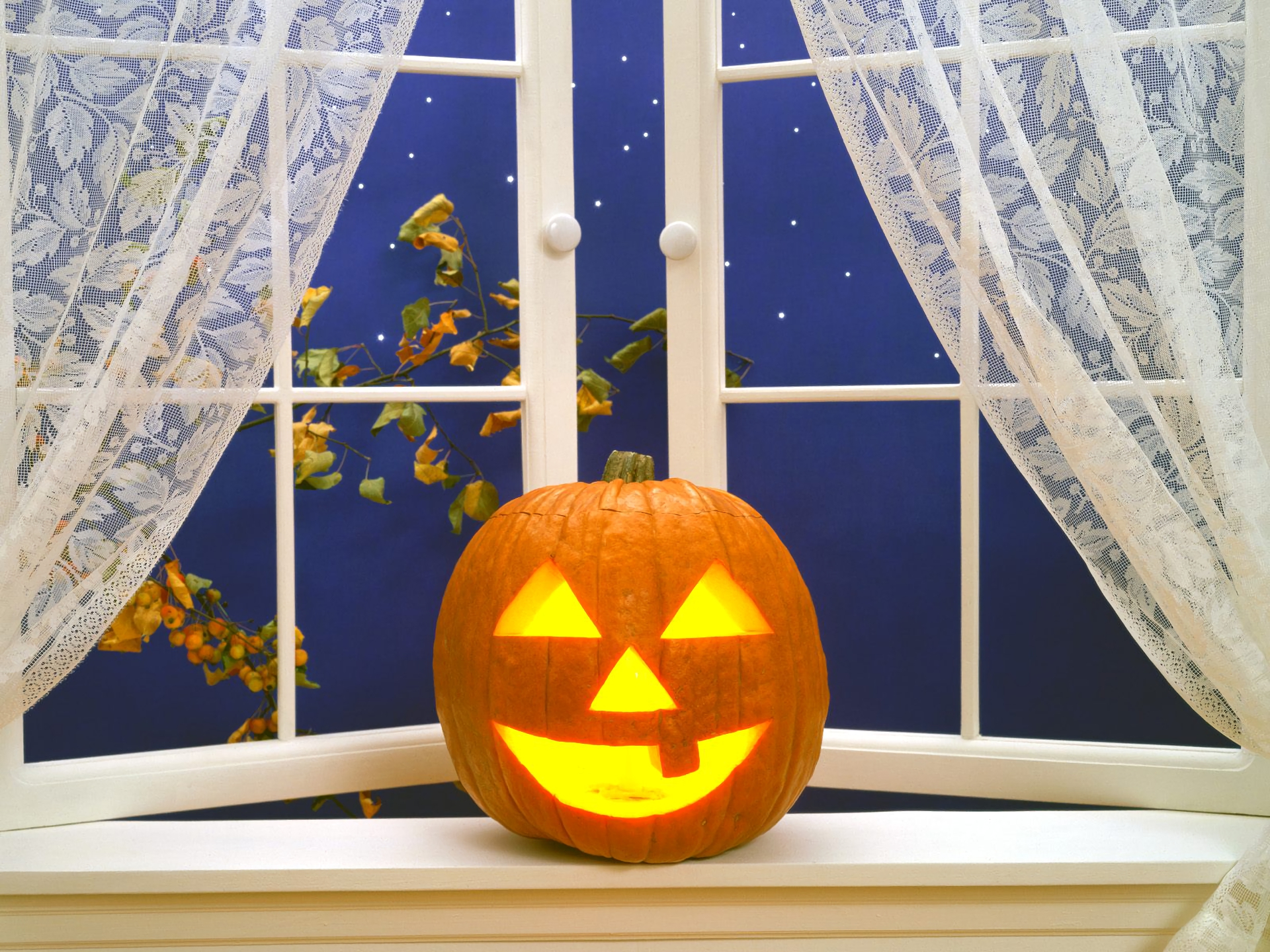 holiday, halloween, curtain, jack o' lantern, pumpkin, window images