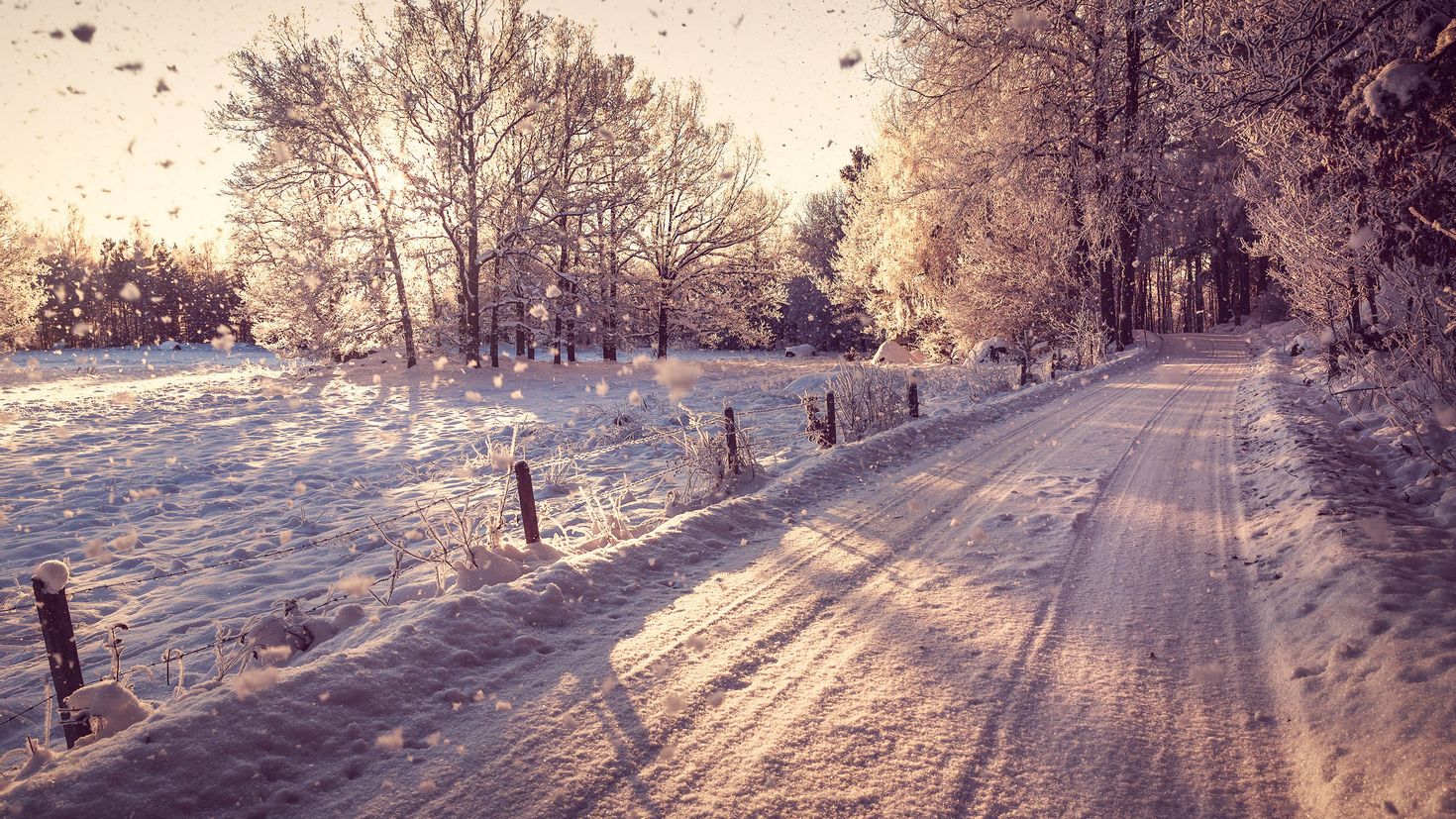 Зима дорога