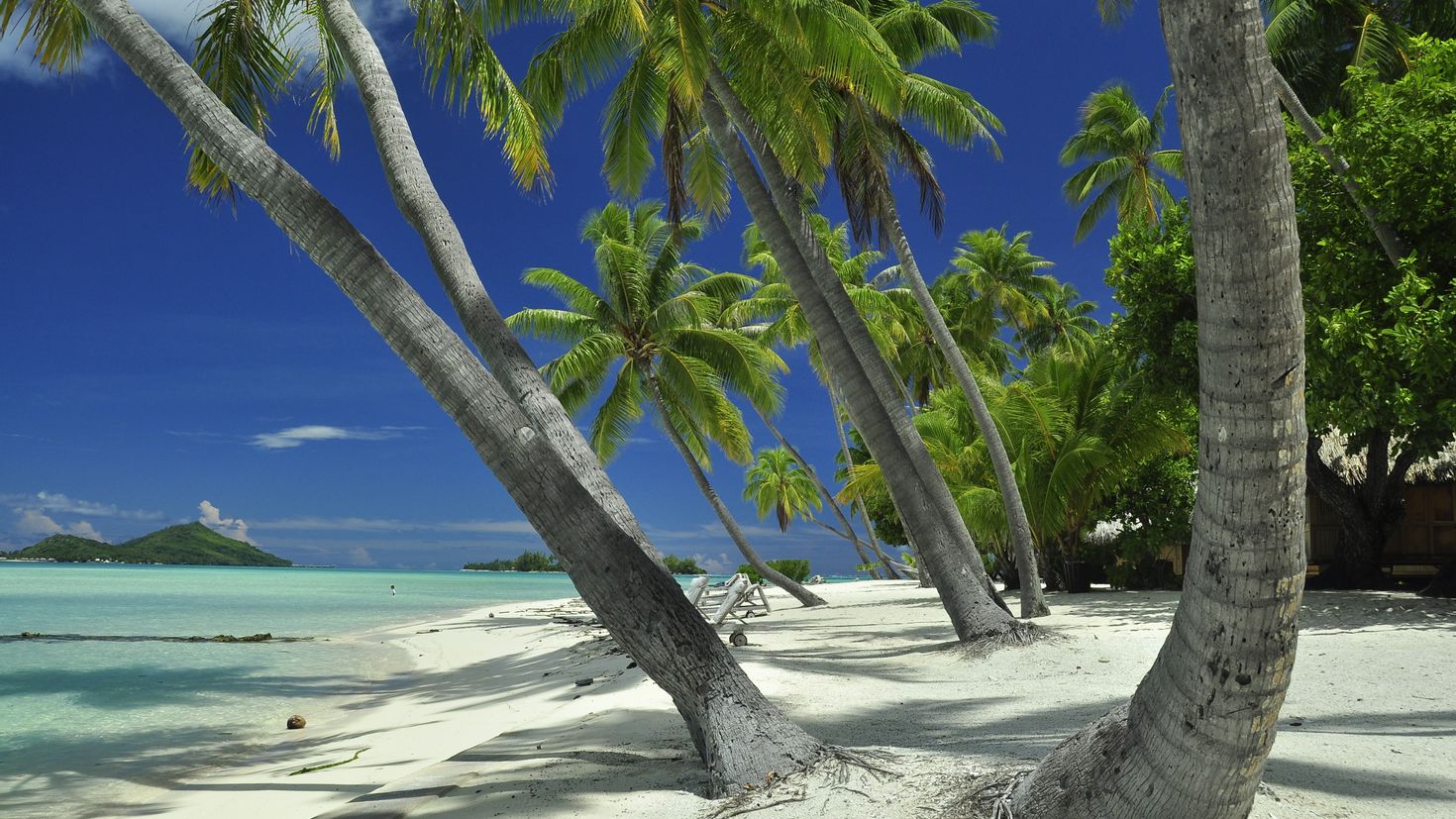 Остров Таити берег
