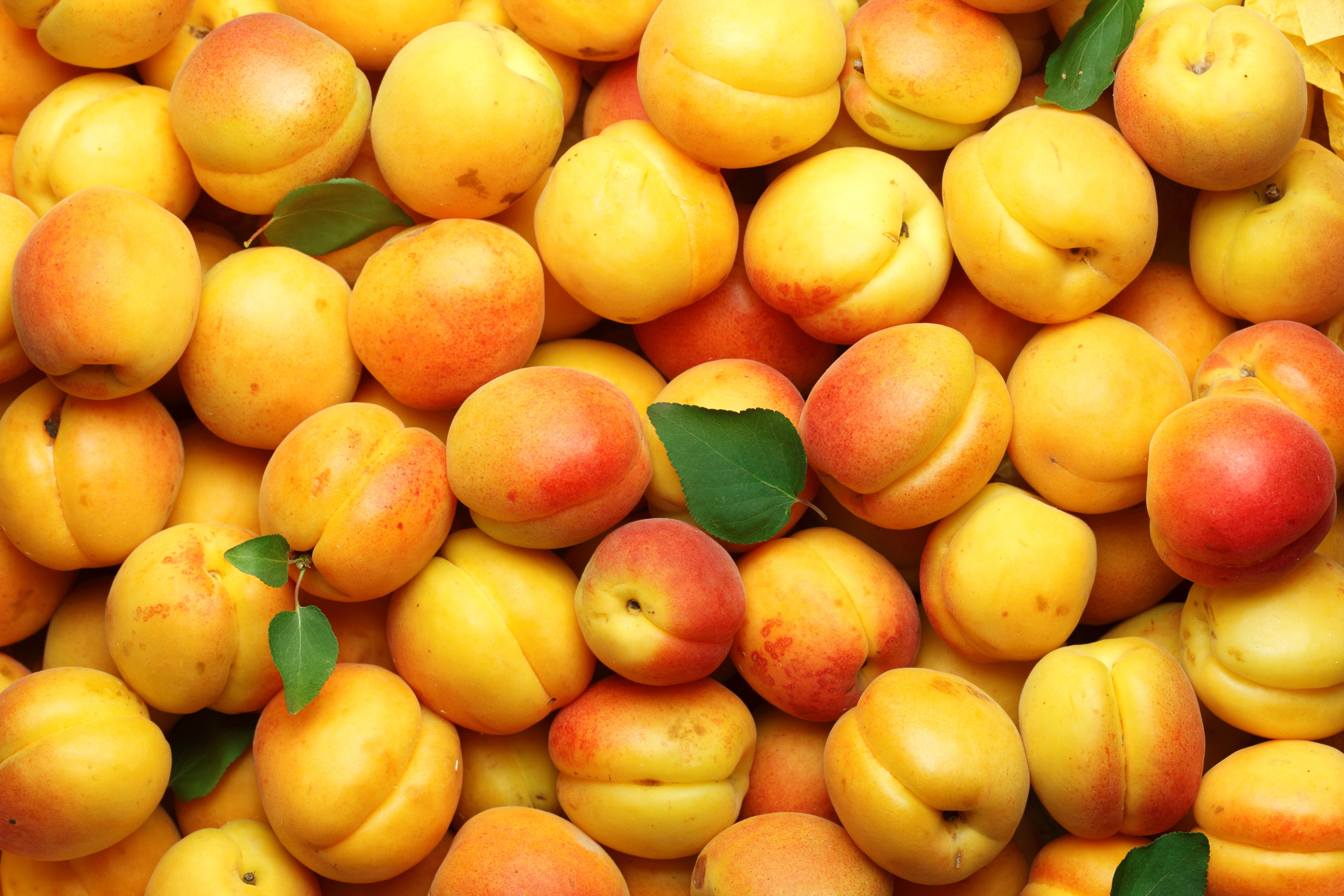 apricot, food, fruit iphone wallpaper