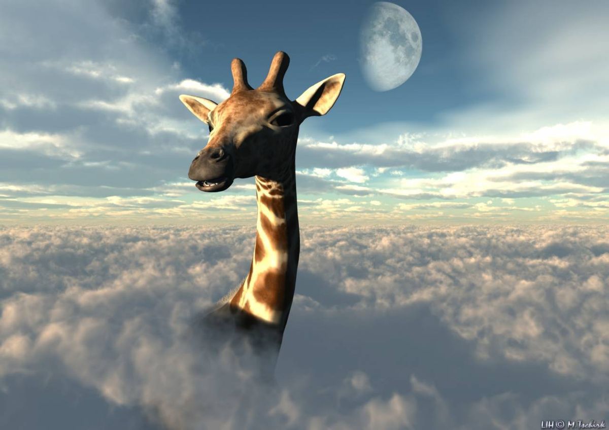 Жираф в небе