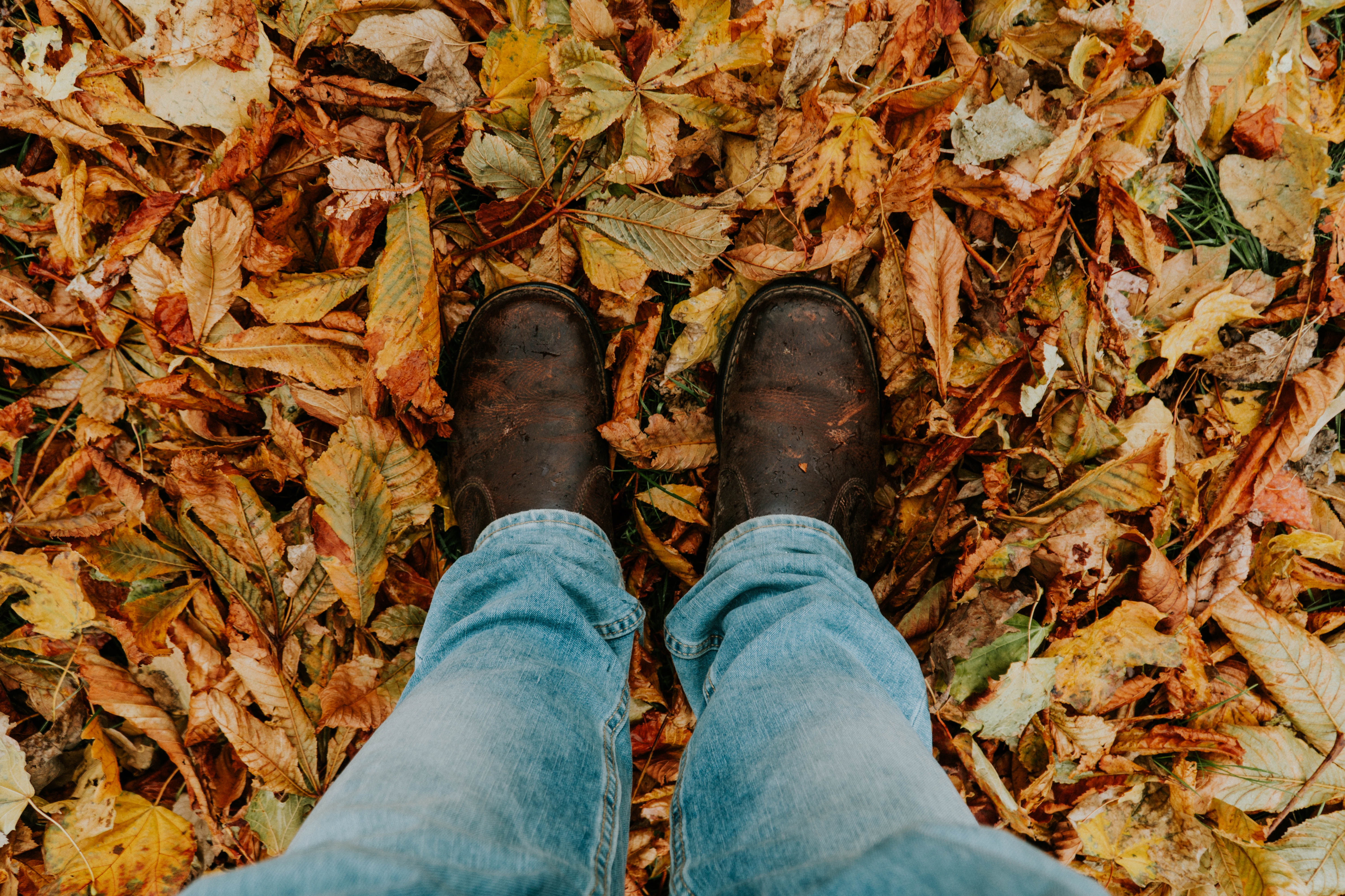 Осенняя листва под ногами