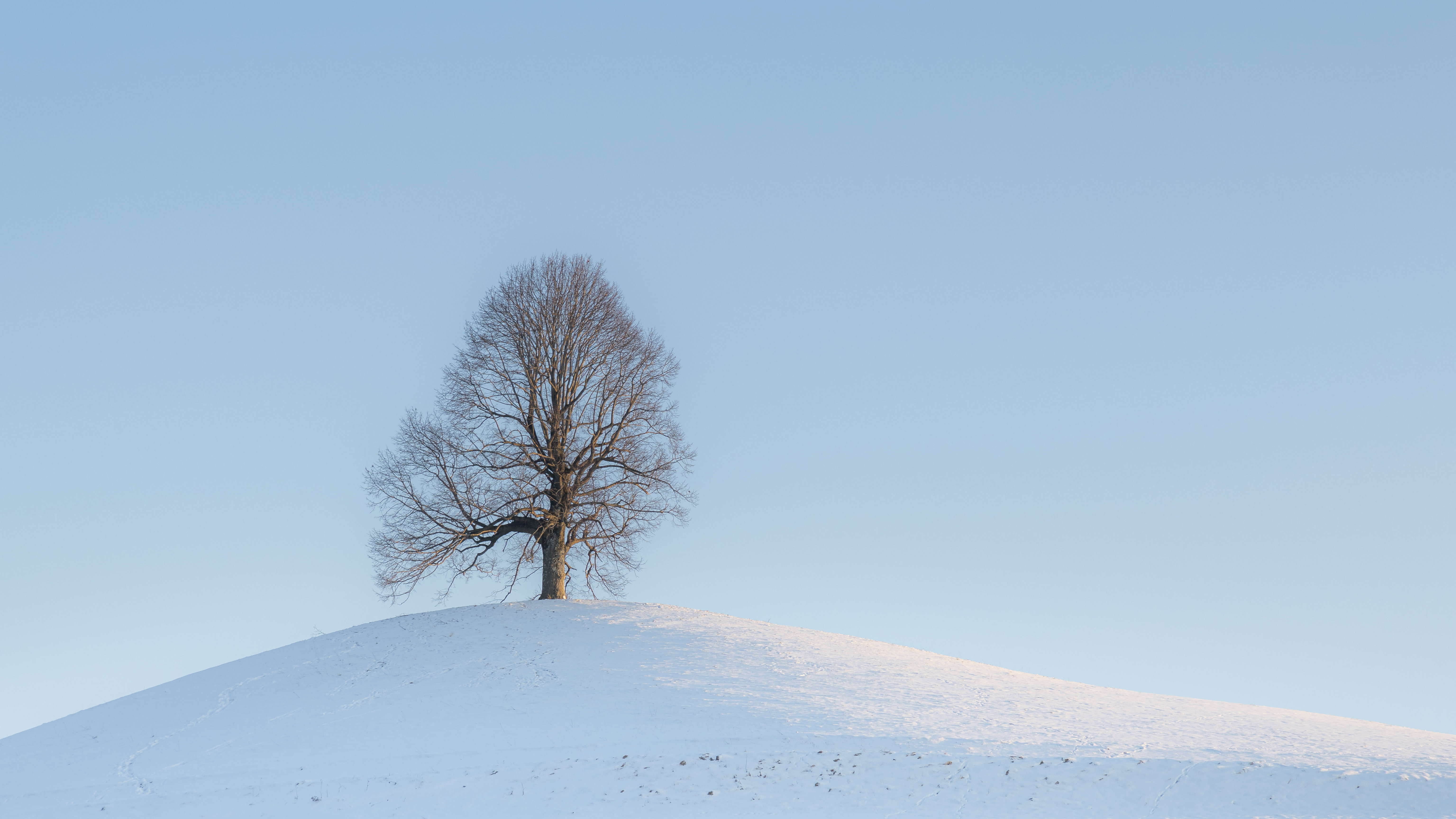 android tree, landscape, winter, nature, snow, wood, hill