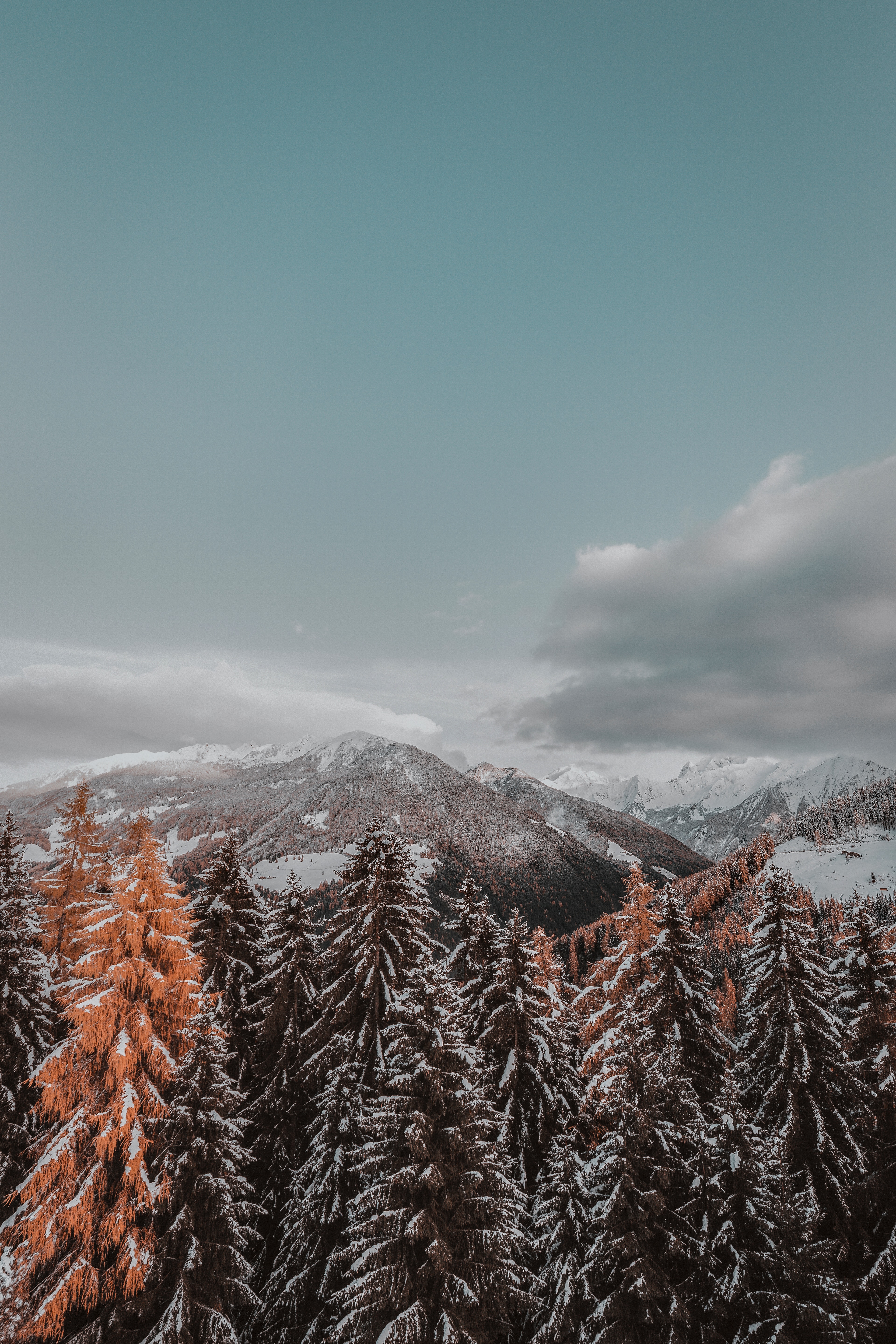 84642 descargar fondo de pantalla paisaje, naturaleza, árboles, montañas, nubes, cubierto de nieve, nevado: protectores de pantalla e imágenes gratis