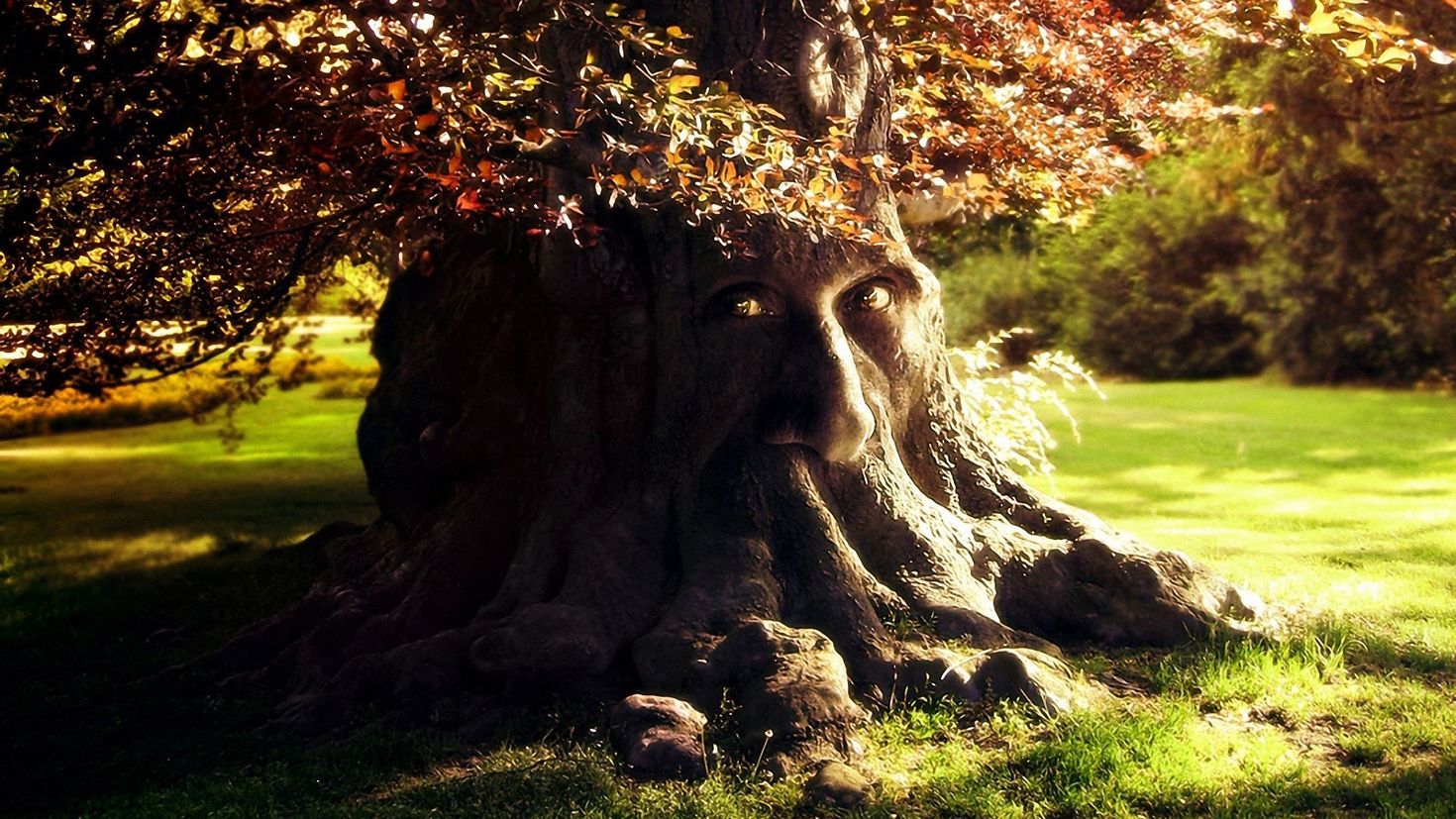 Дуб живое существо. Сказочное дерево. Живое дерево. Сказочный дуб. Самый красивый дуб.