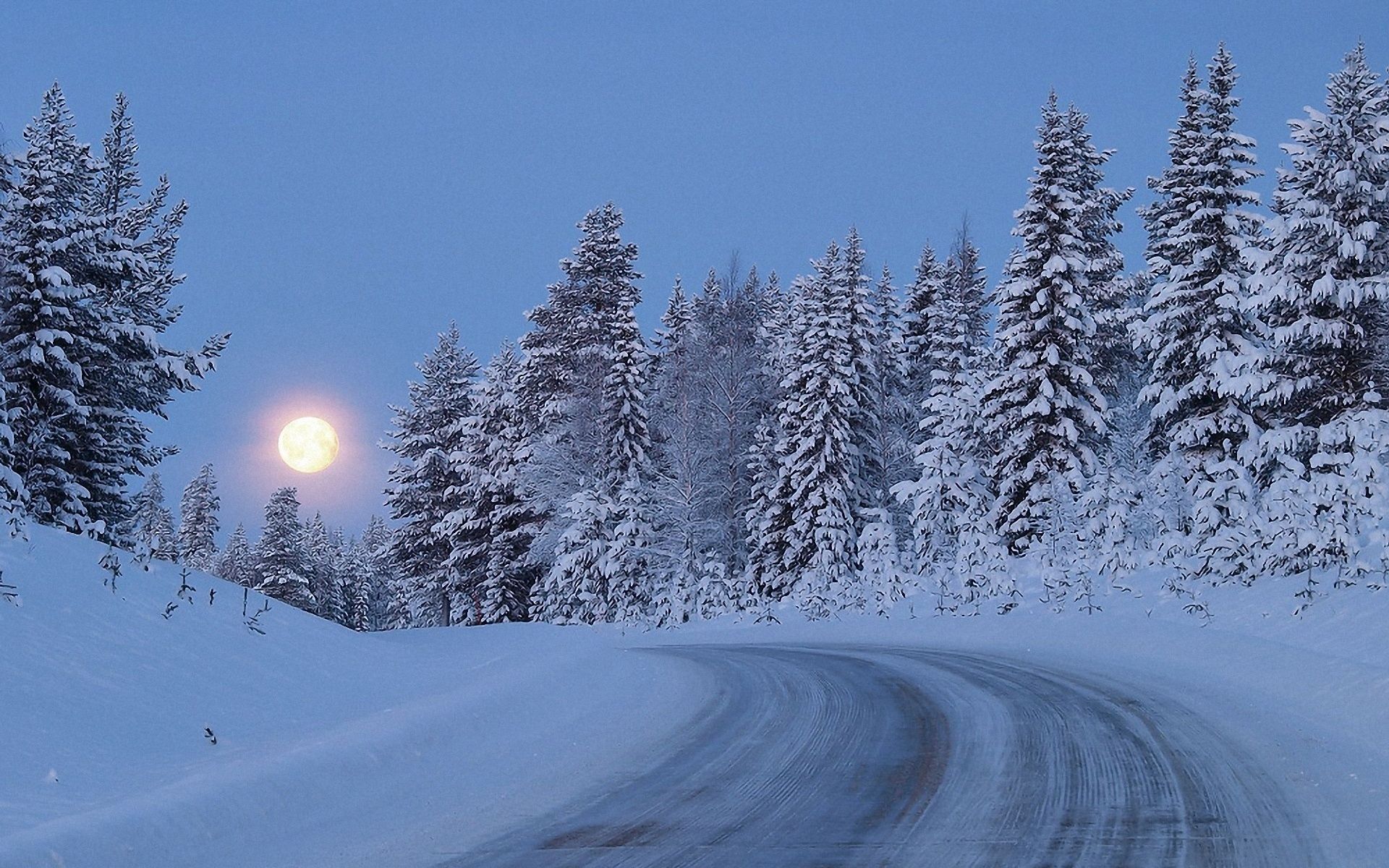 road, nature, trees, sky, night, snow, forest, full moon, climb, lift