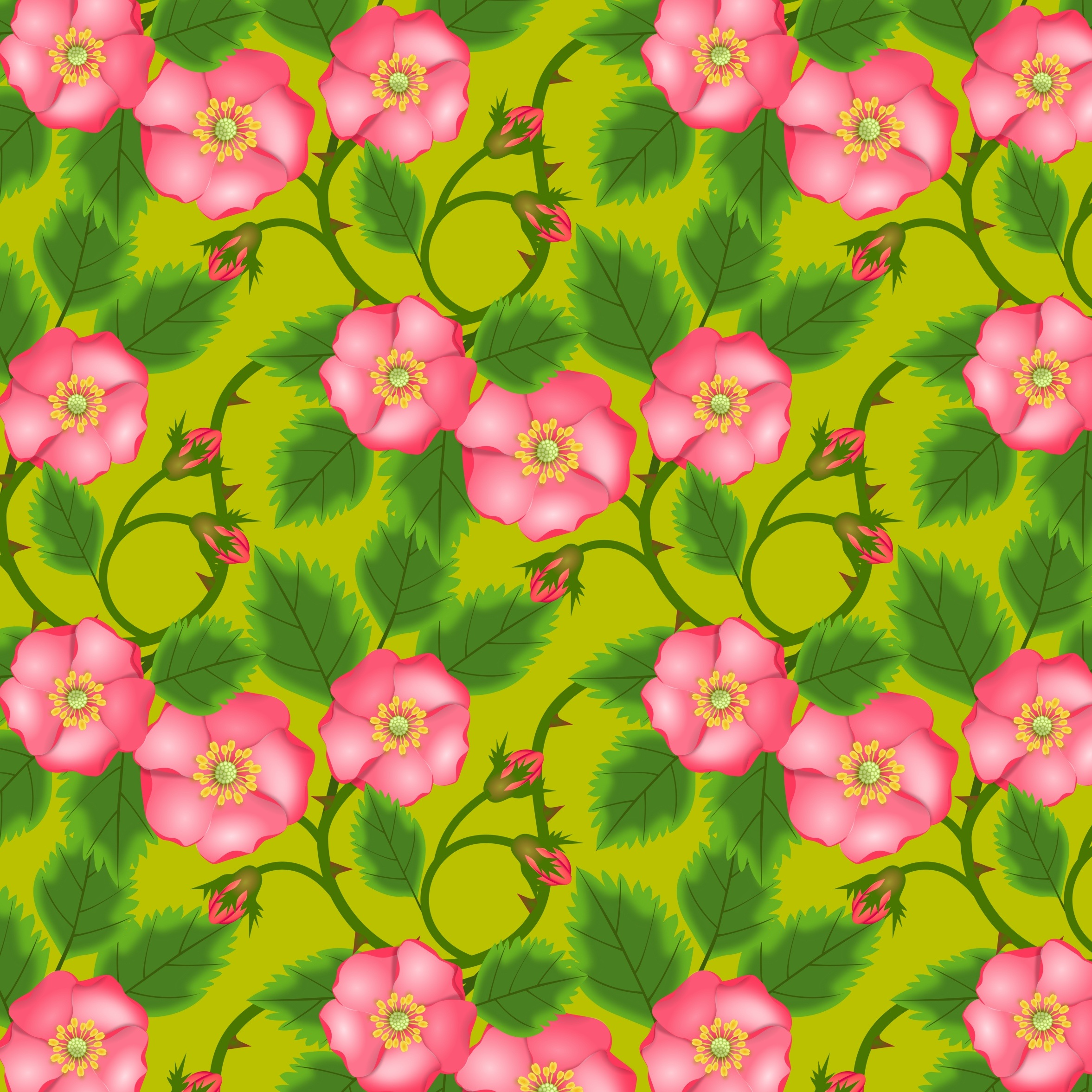 免费下载模式, 粉色的, 绿色的, 花卉, 向量, 矢量, 粉色手机壁纸。