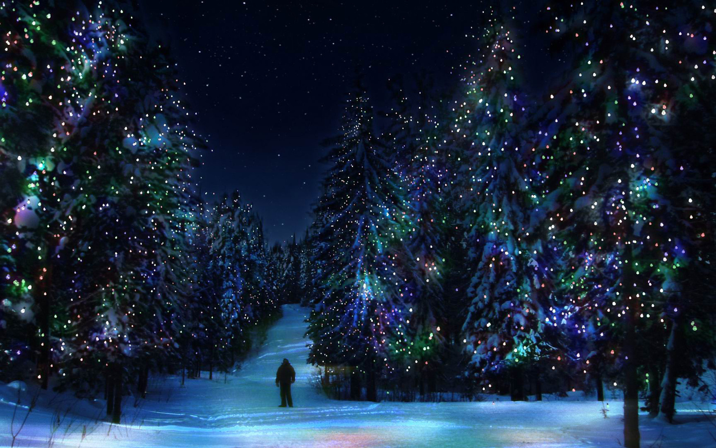 Download mobile wallpaper Christmas Xmas, Winter, Fir Trees, New Year, Holidays for free.