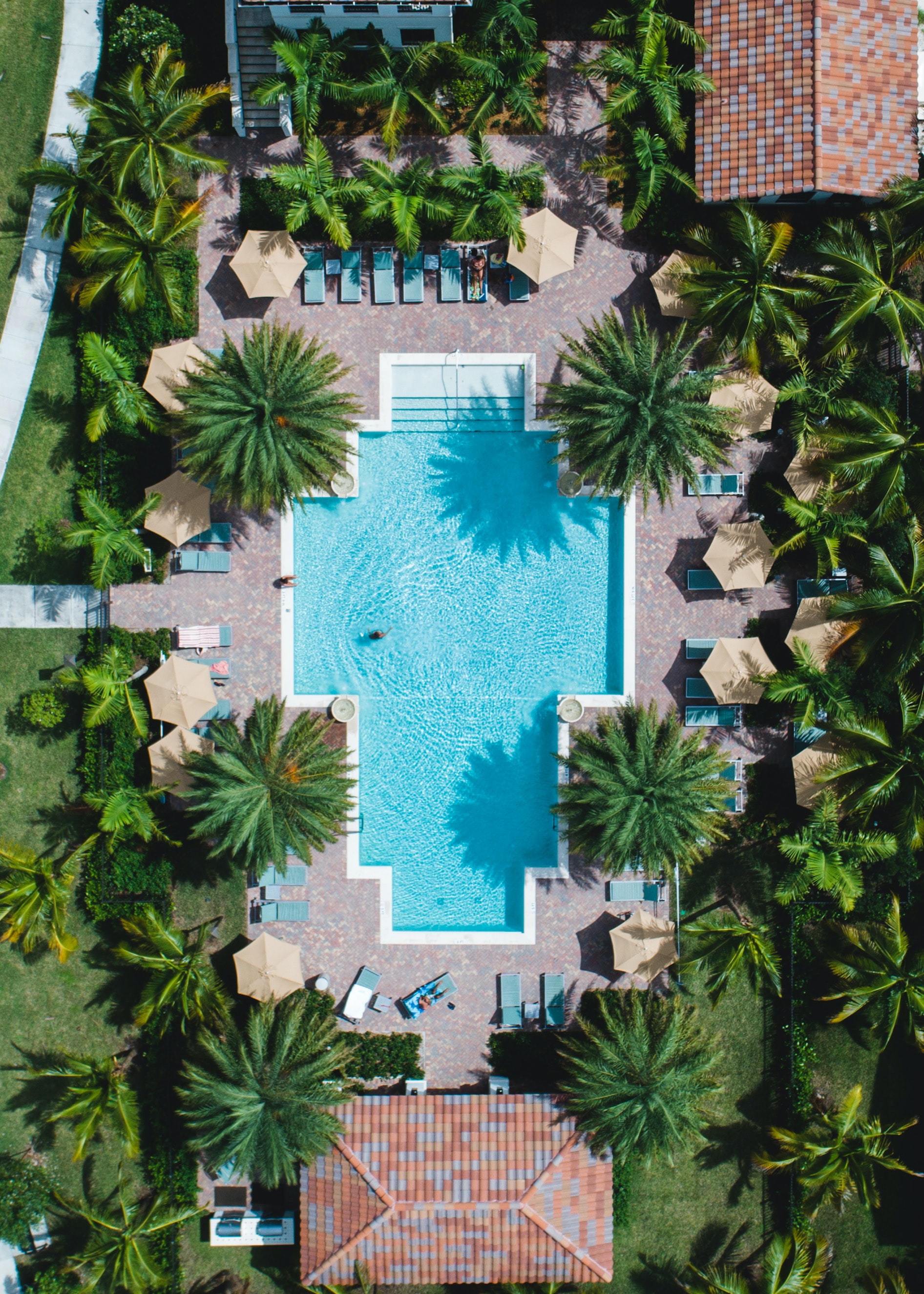view from above, palms, pool, miscellanea, miscellaneous HD wallpaper