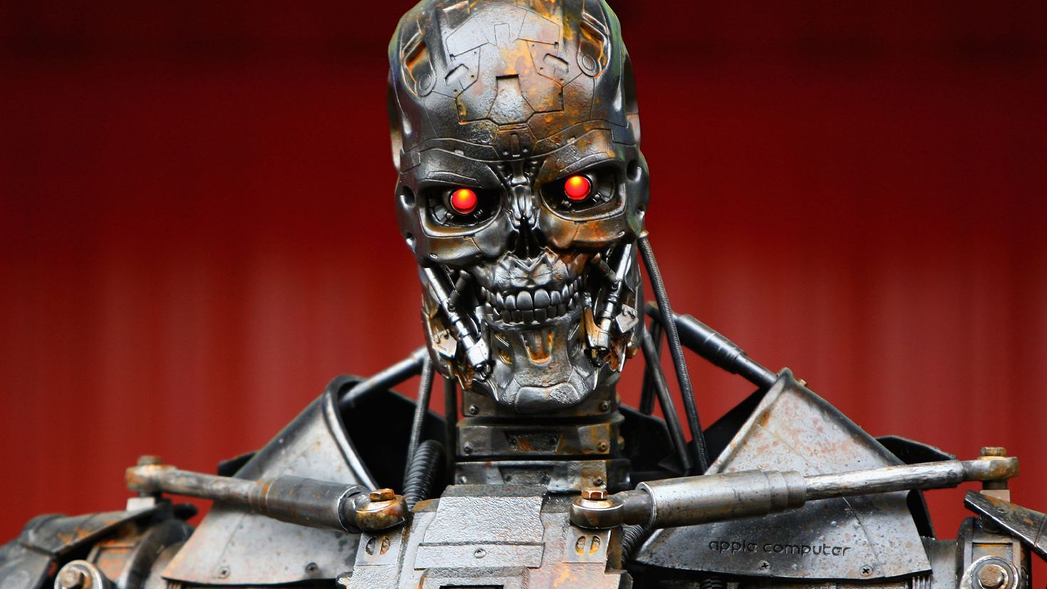 Terminators терминаторы. Терминатор робот т 800. Скелет Терминатора т 800. Терминатор т 800 человек.