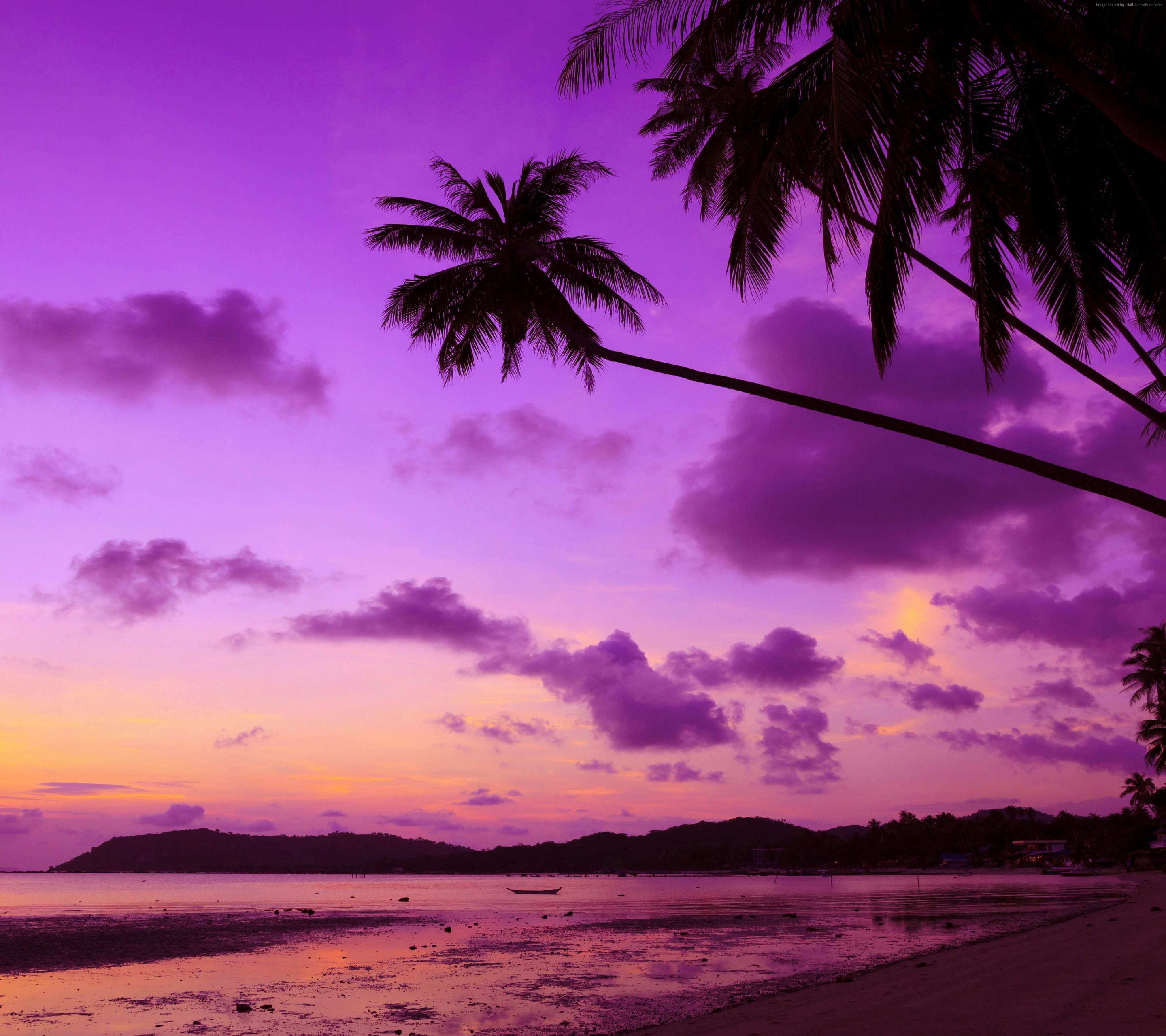 Free download wallpaper Nature, Sunset, Sky, Beach, Sand, Purple, Cloud, Photography, Palm Tree on your PC desktop