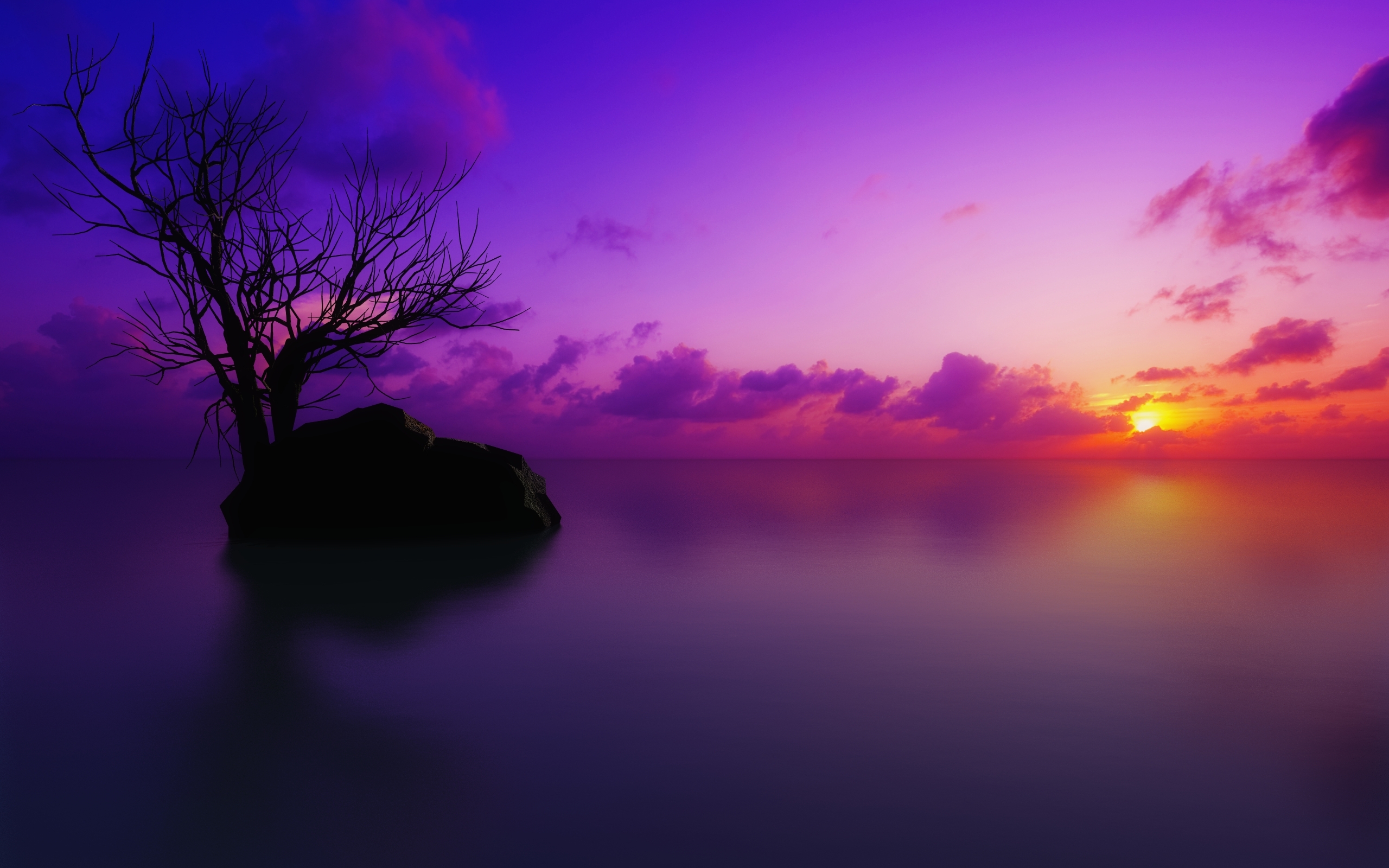 wallpapers purple, sunset, cloud, earth, ocean, tree, pastel, scenic