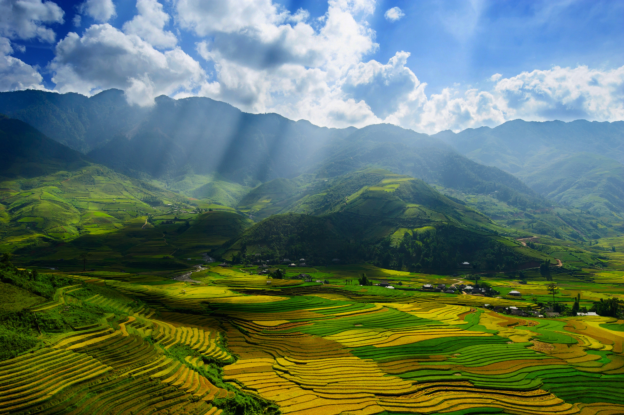 Mobile wallpaper photography, landscape, sunbeam, field, sunshine, vietnam