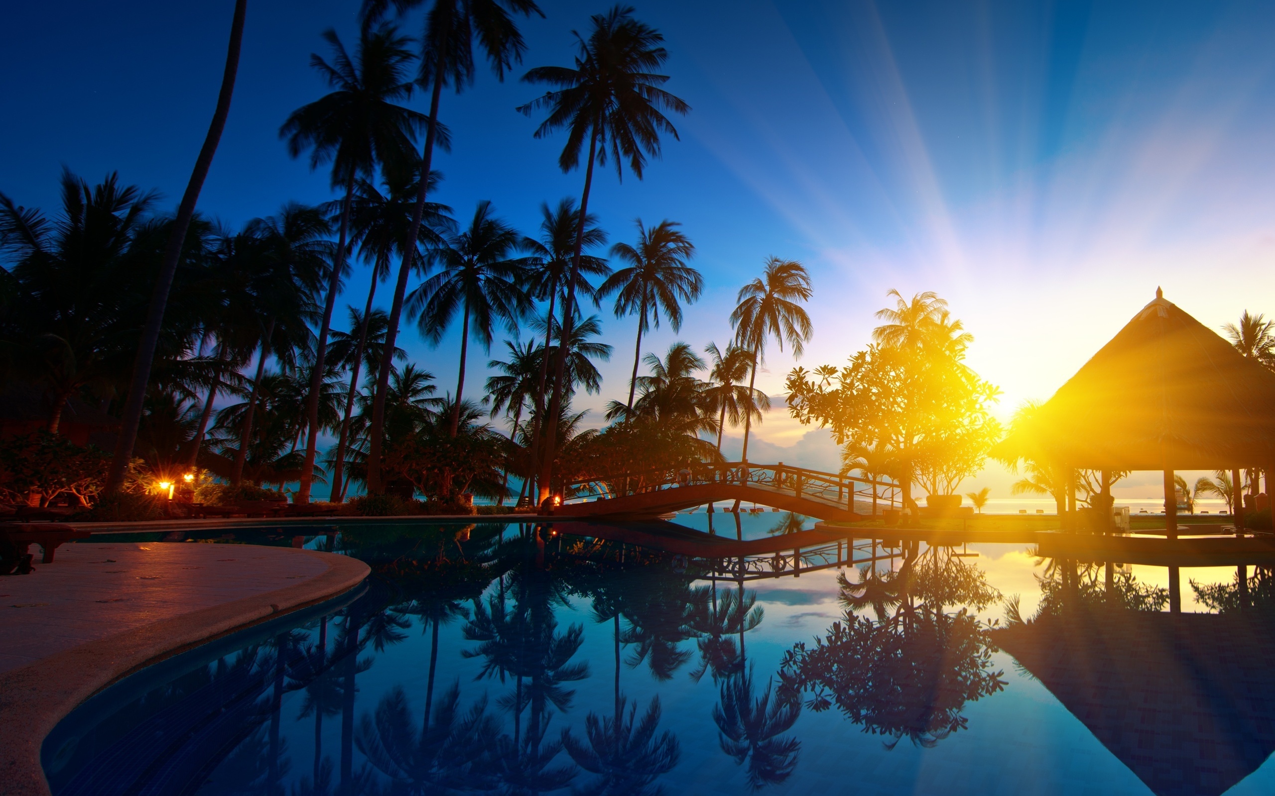 palms, landscape, sea, blue lock screen backgrounds