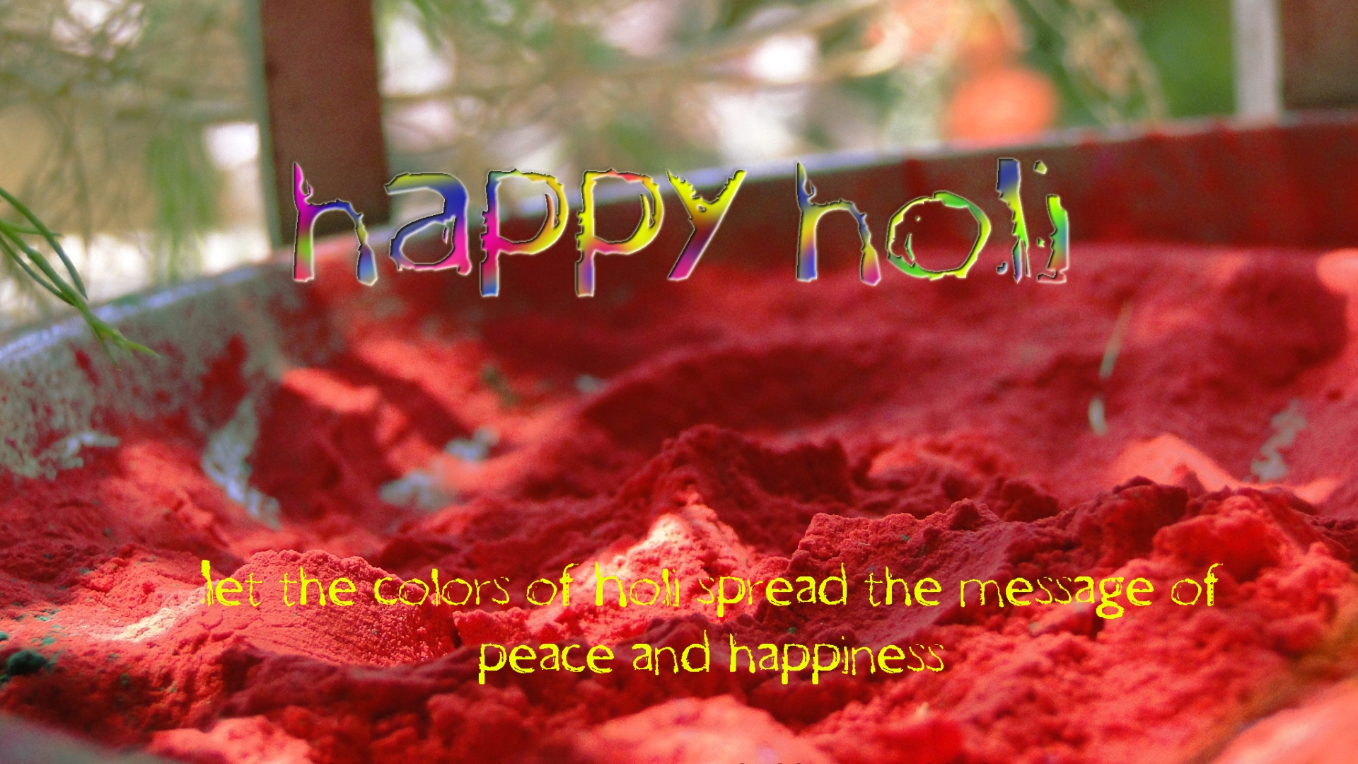 holiday, holi, colors