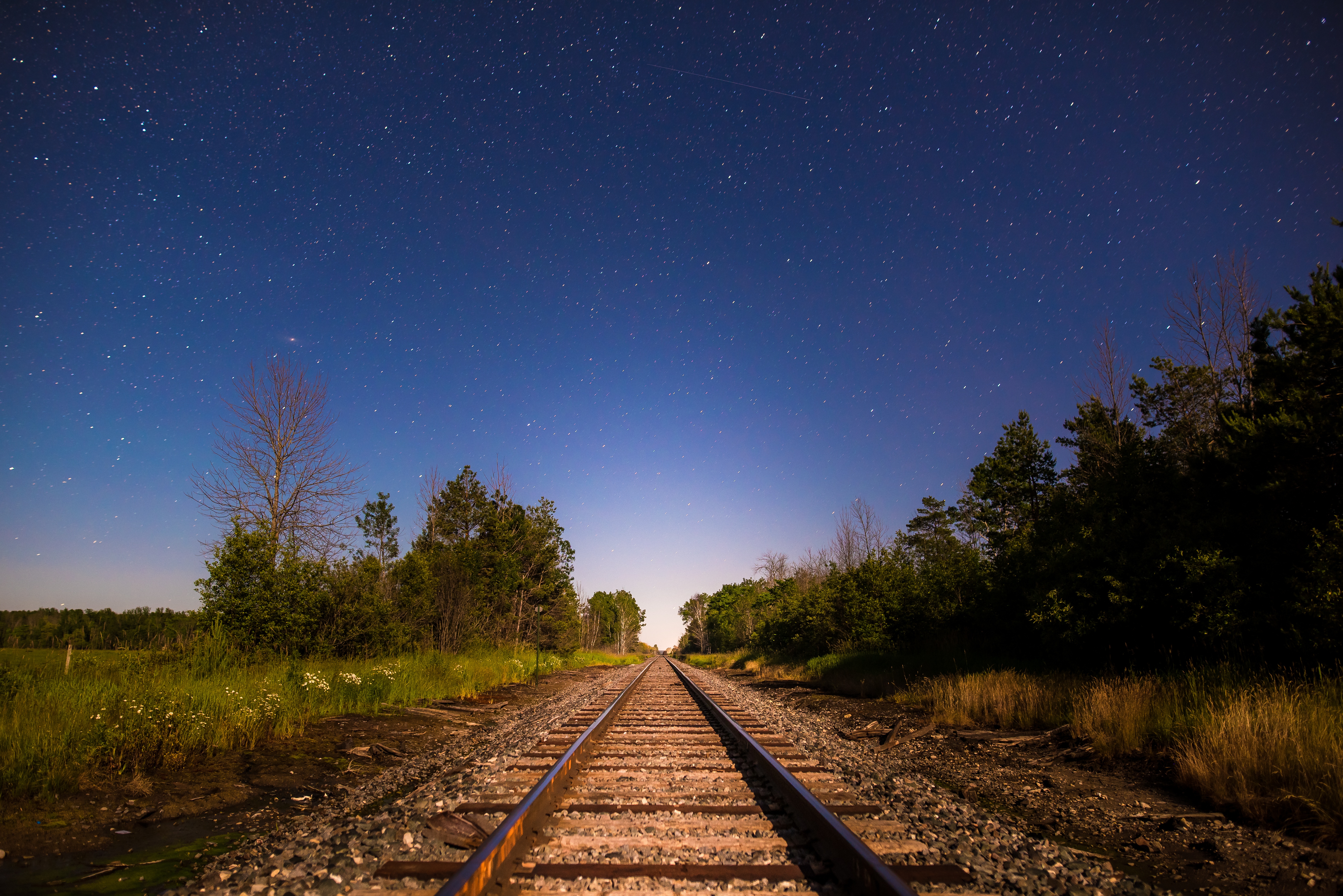 railway, direction, nature, trees, starry sky