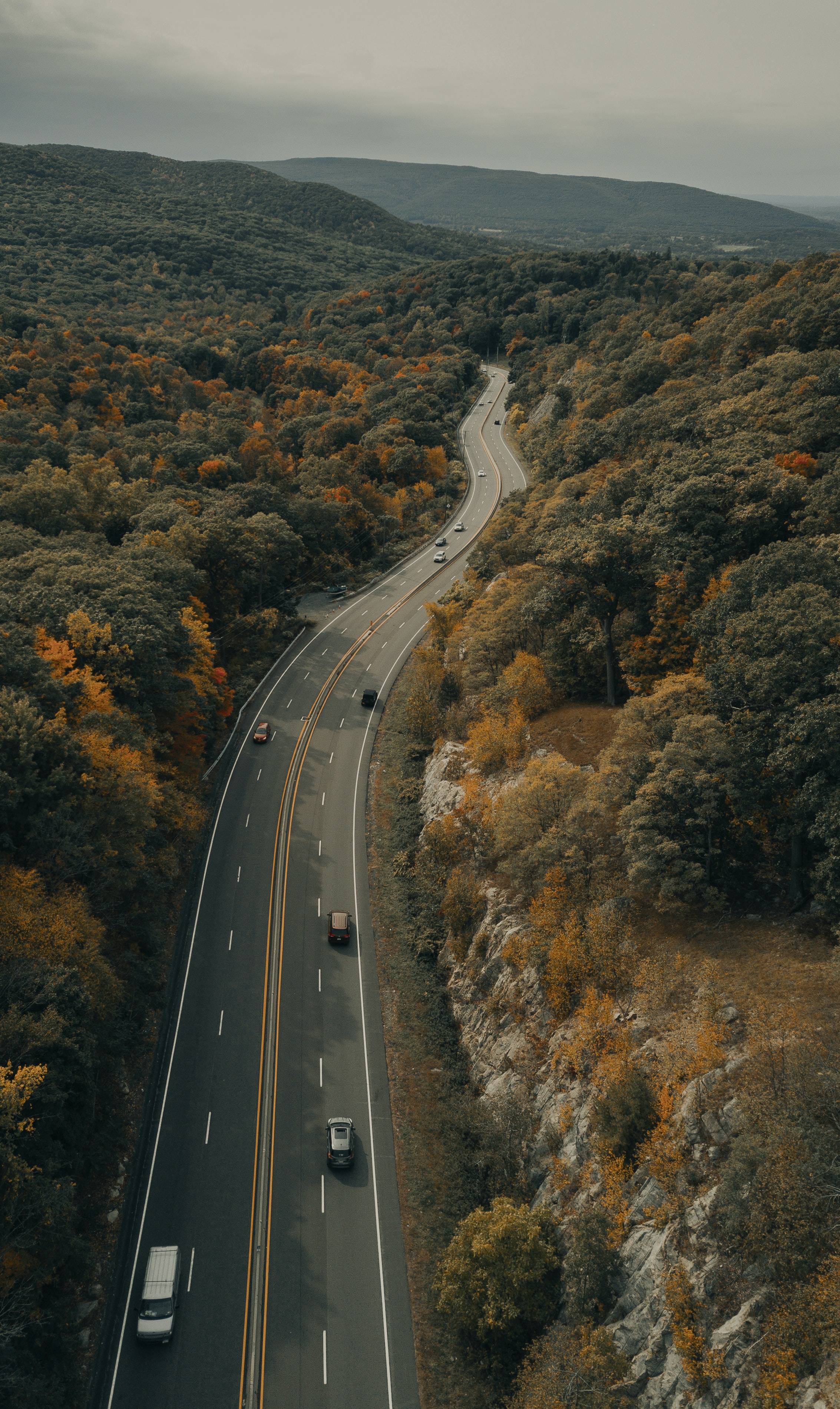 road, nature, autumn, auto, trees, forest Panoramic Wallpaper
