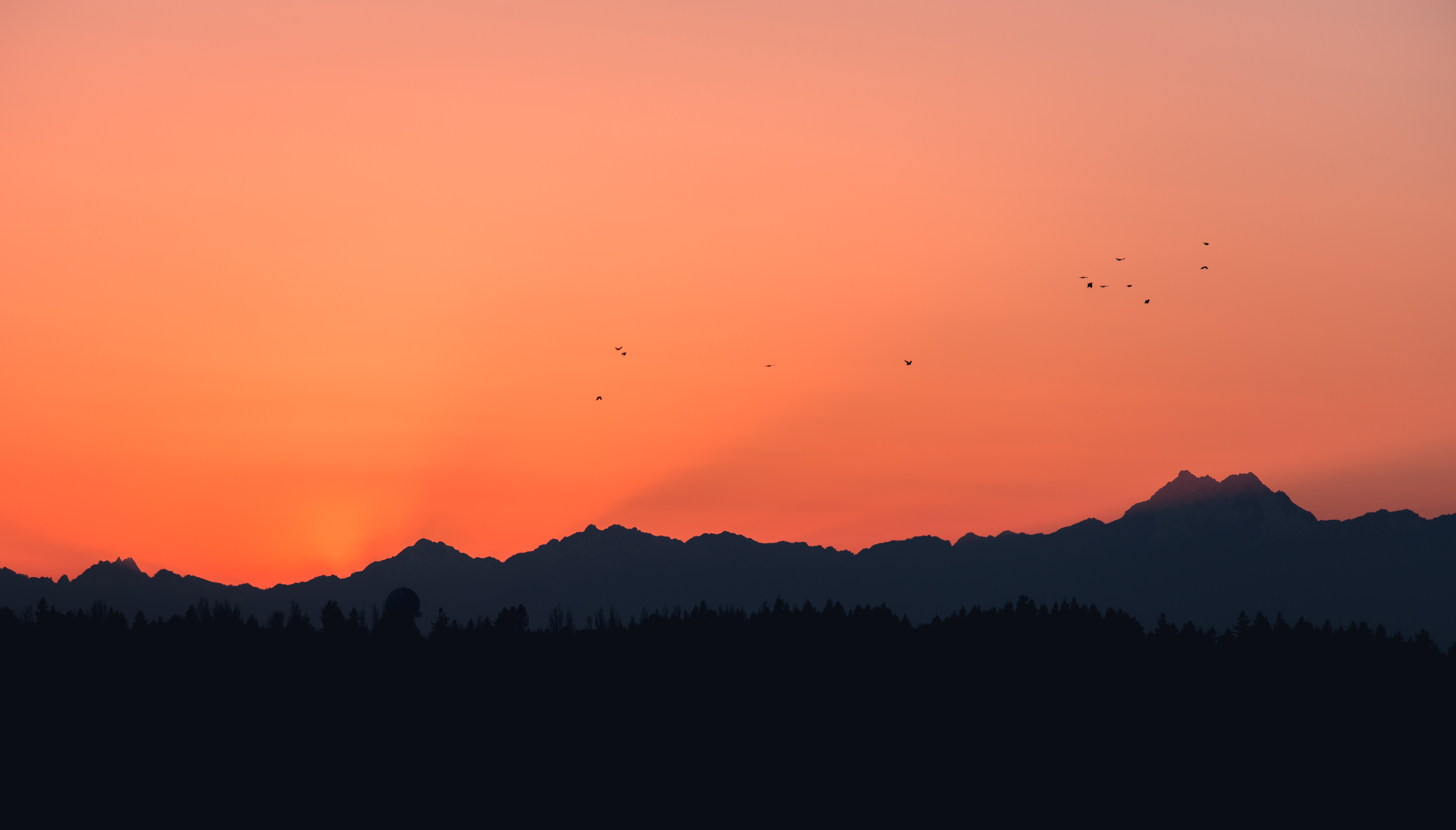 mountains, dark, birds, sunset, outlines Phone Background