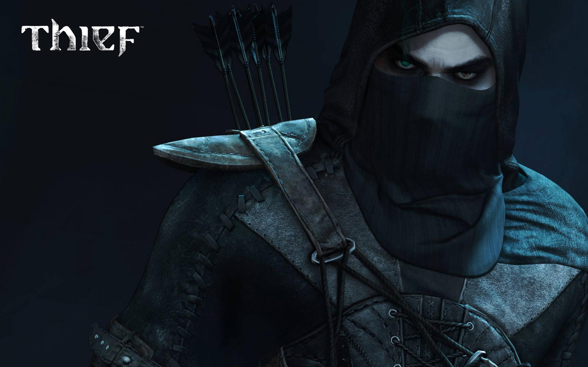 Thief collection steam фото 116