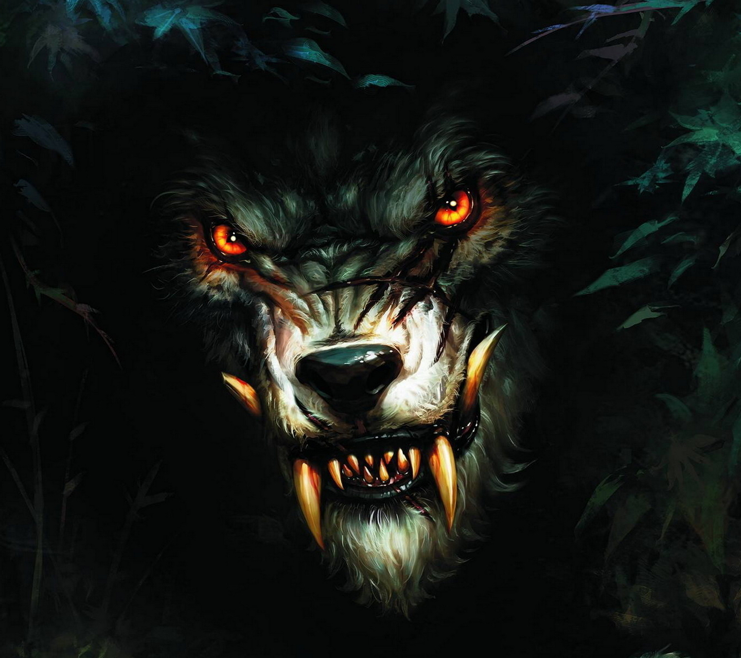 animals, pictures, black, wolfs, art for android