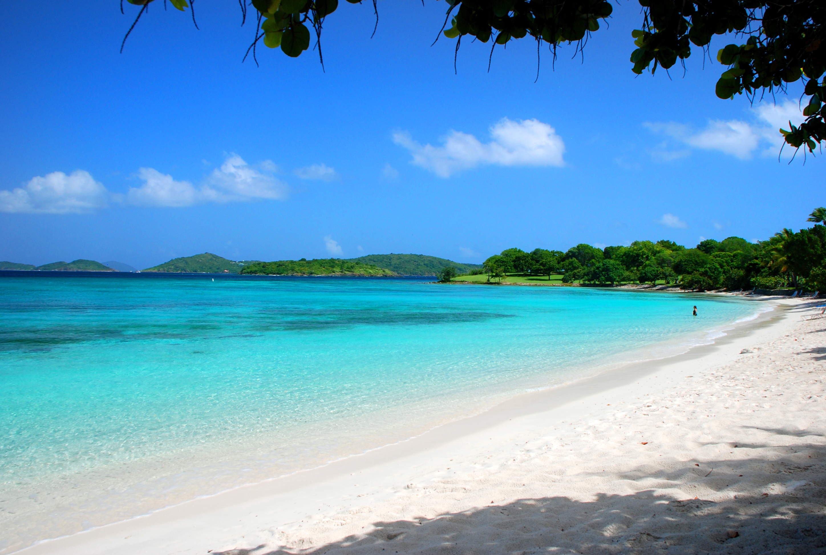 maldives, summer, beach, nature, palms, sand, tropics