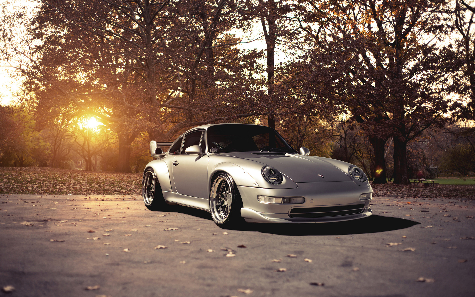 Porsche 911 autumn