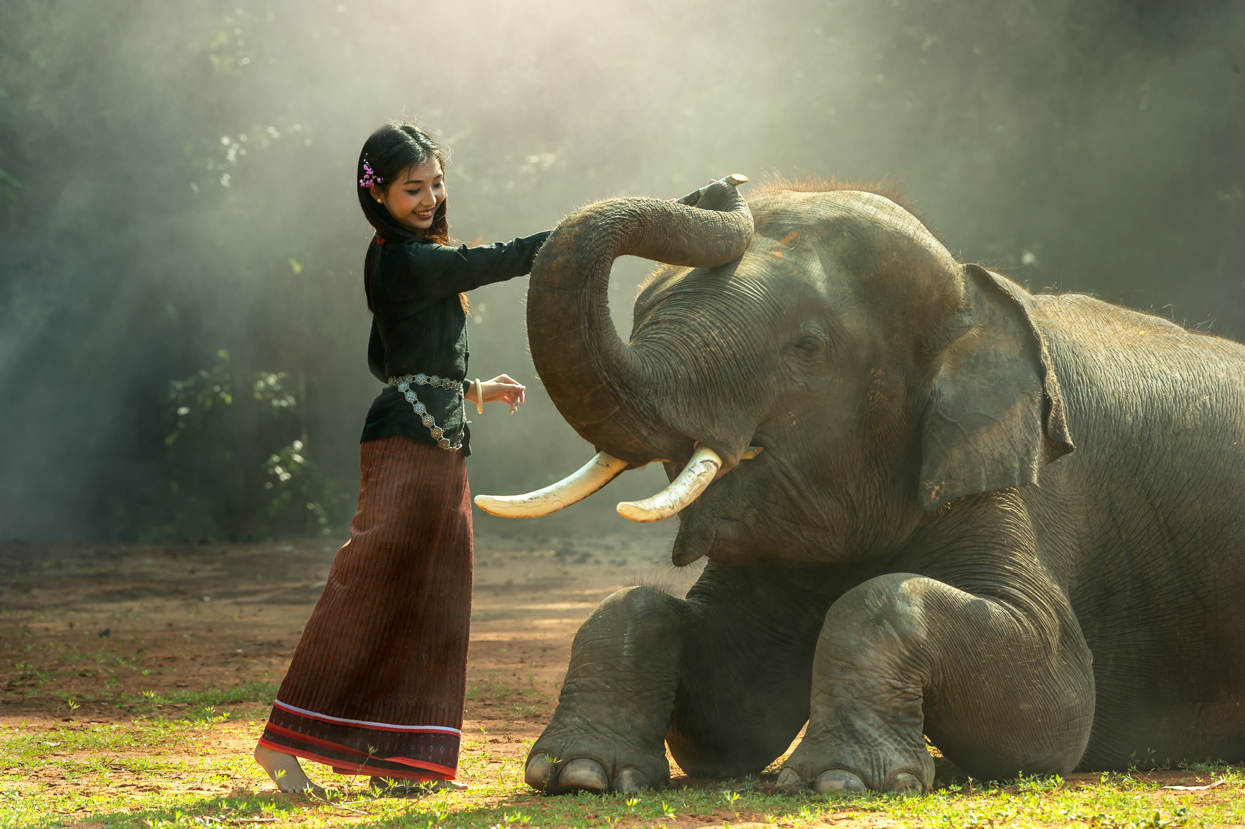 811156 Bild herunterladen fotografie, menschen, asiatinnen, kambodscha, elefant, lange haare - Hintergrundbilder und Bildschirmschoner kostenlos