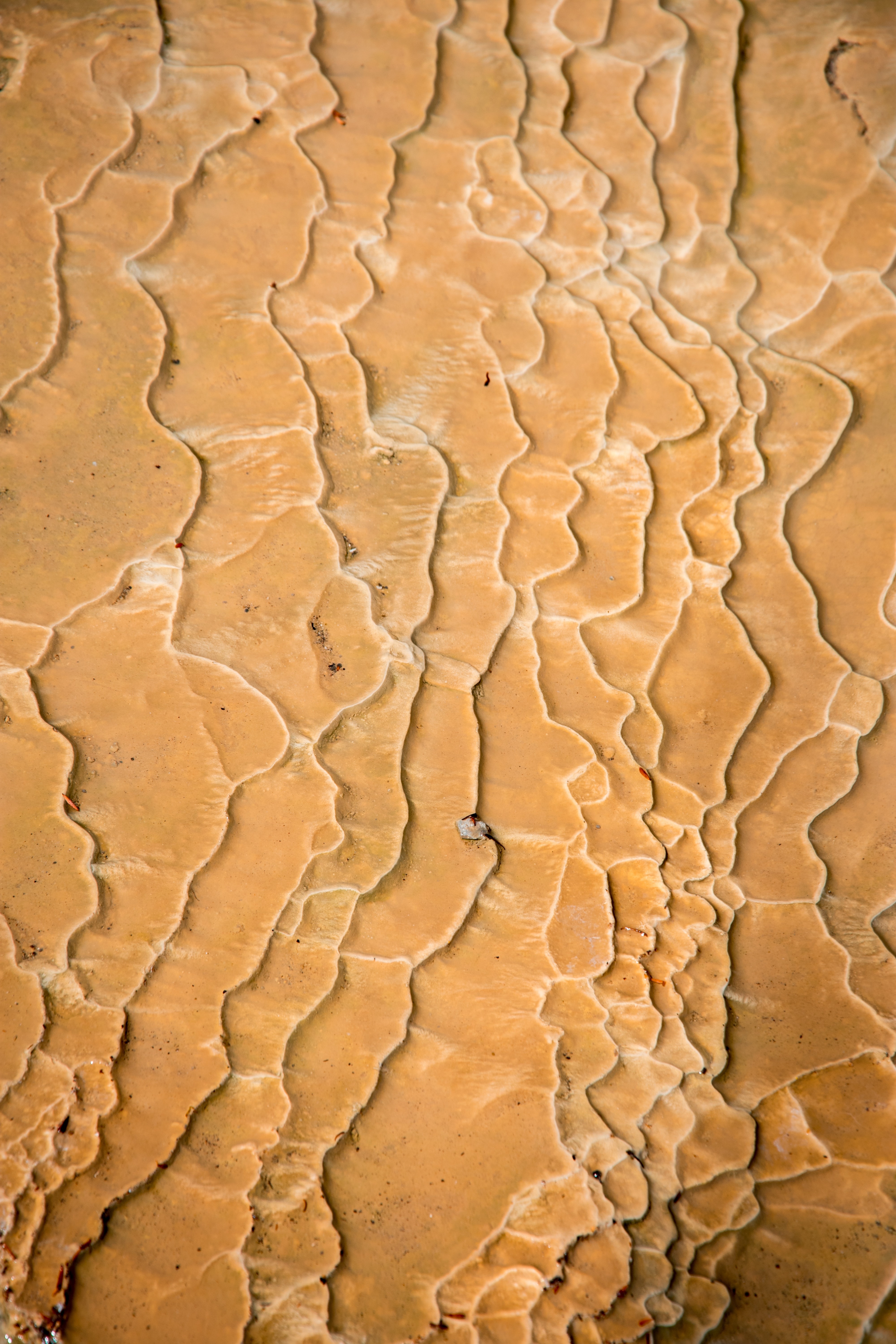sand, texture, textures, traces, drought, invoice High Definition image