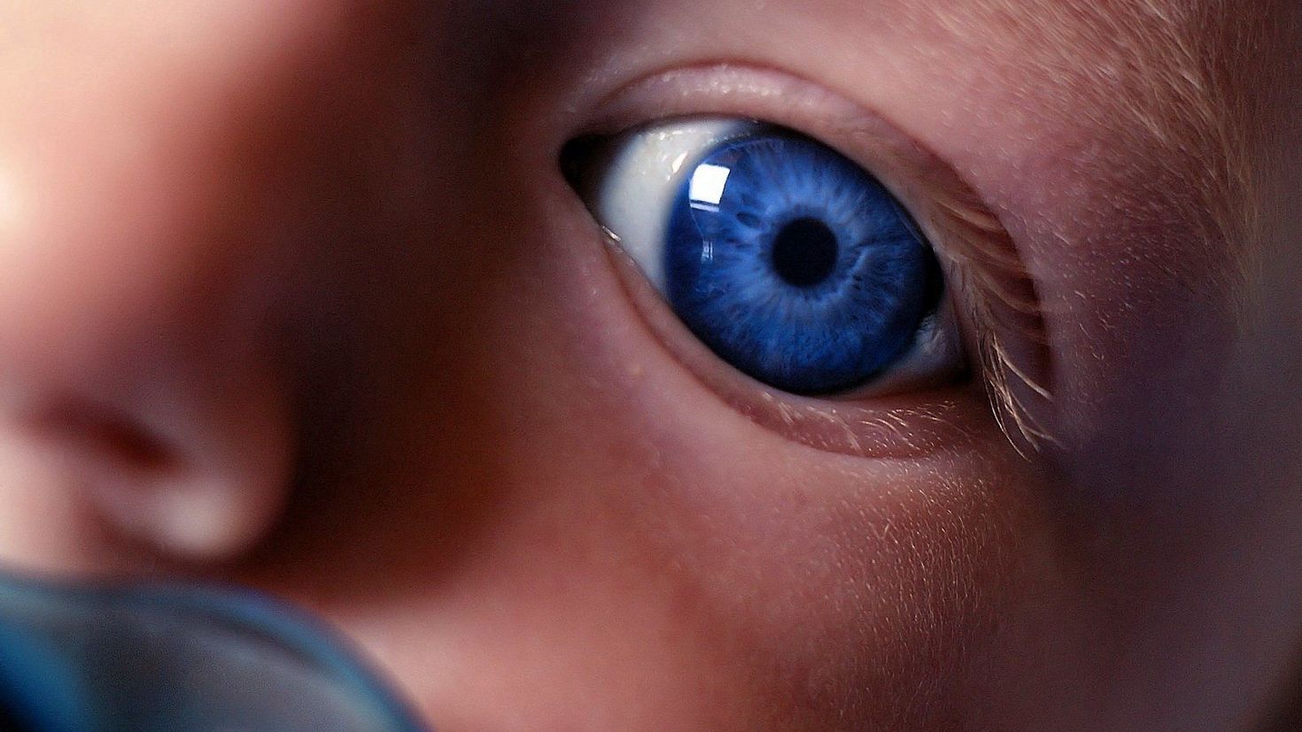 Белки глаз новорожденного. Темно синие глаза. Ярко синие глаза. Темно синий цвет глаз. Глаза ребенка.