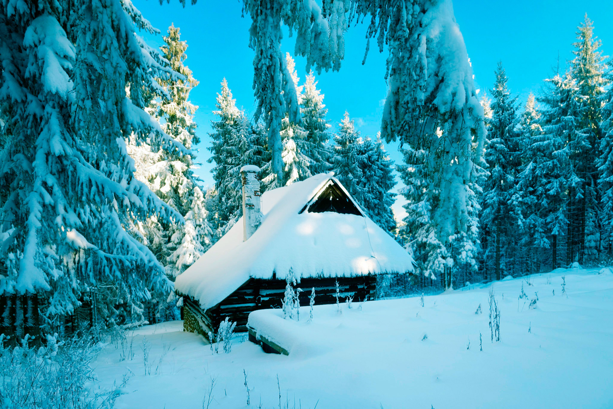 Laden Sie das Polen, Kleines Haus, Lodge, Schnee, Wald, Winter, Natur-Bild kostenlos auf Ihren PC-Desktop herunter