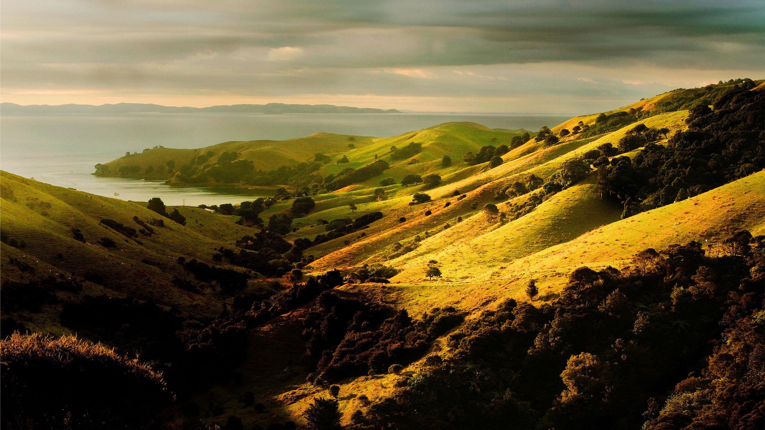 Beautiful hill. Молдова природа холмы. Холмы Такака, новая Зеландия. Новая Зеландия зеленые холмы. Холмистые равнины Великобритании.