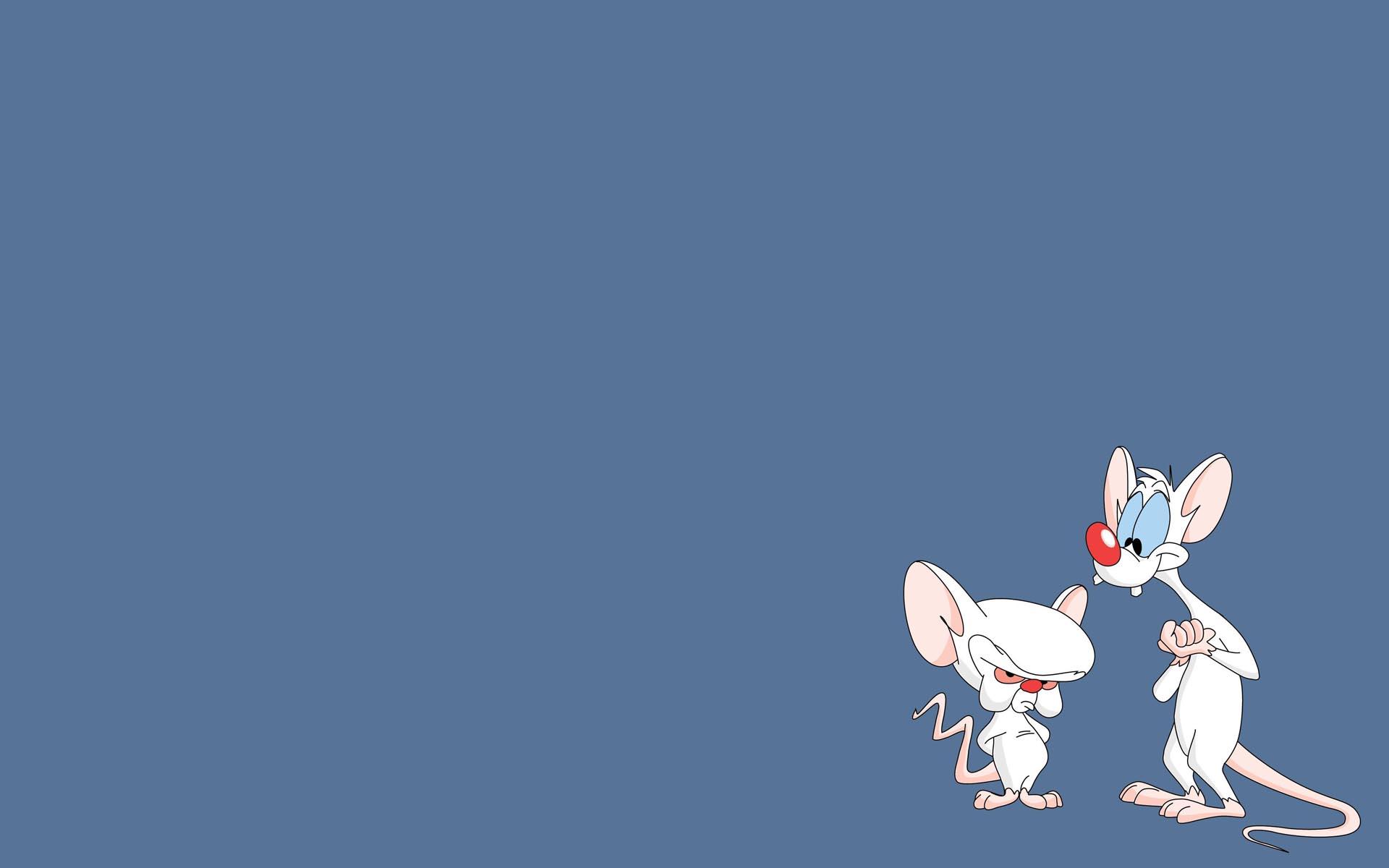 tv show, pinky and the brain