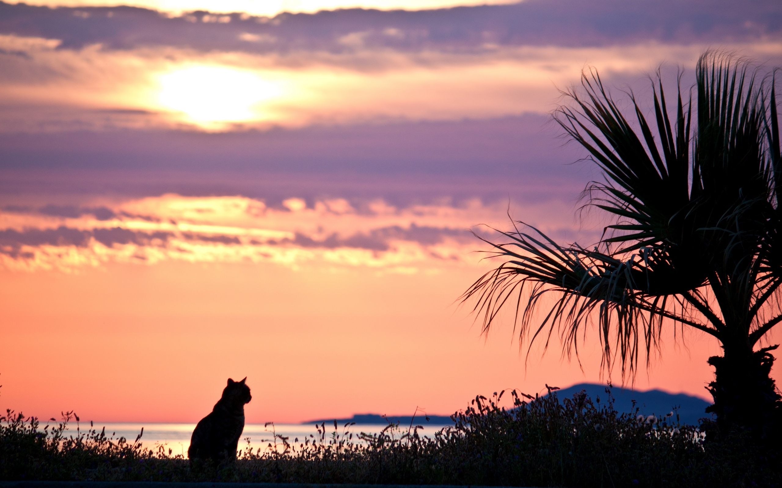 Watching the sunrise