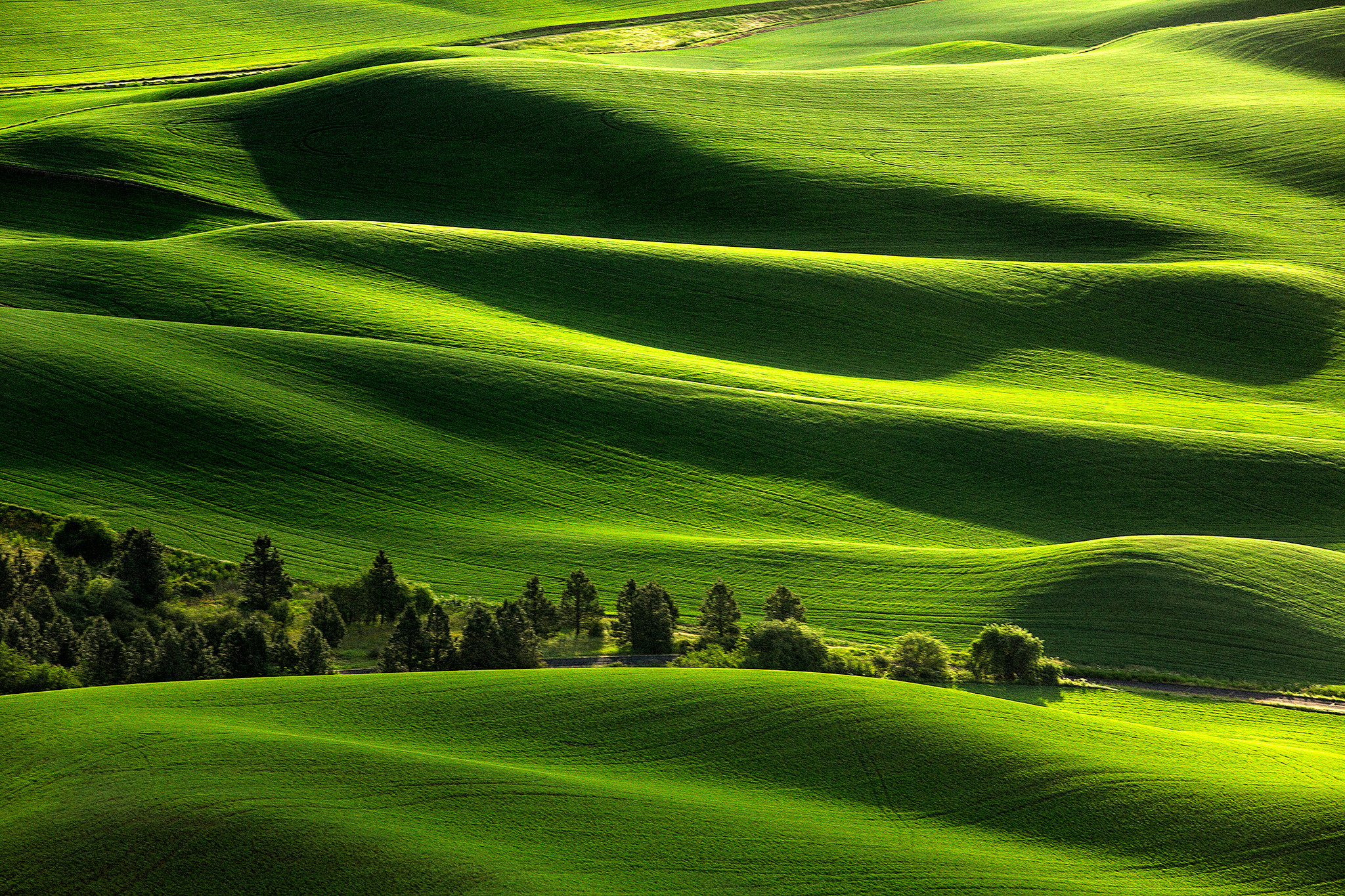 Зеленый пейзаж