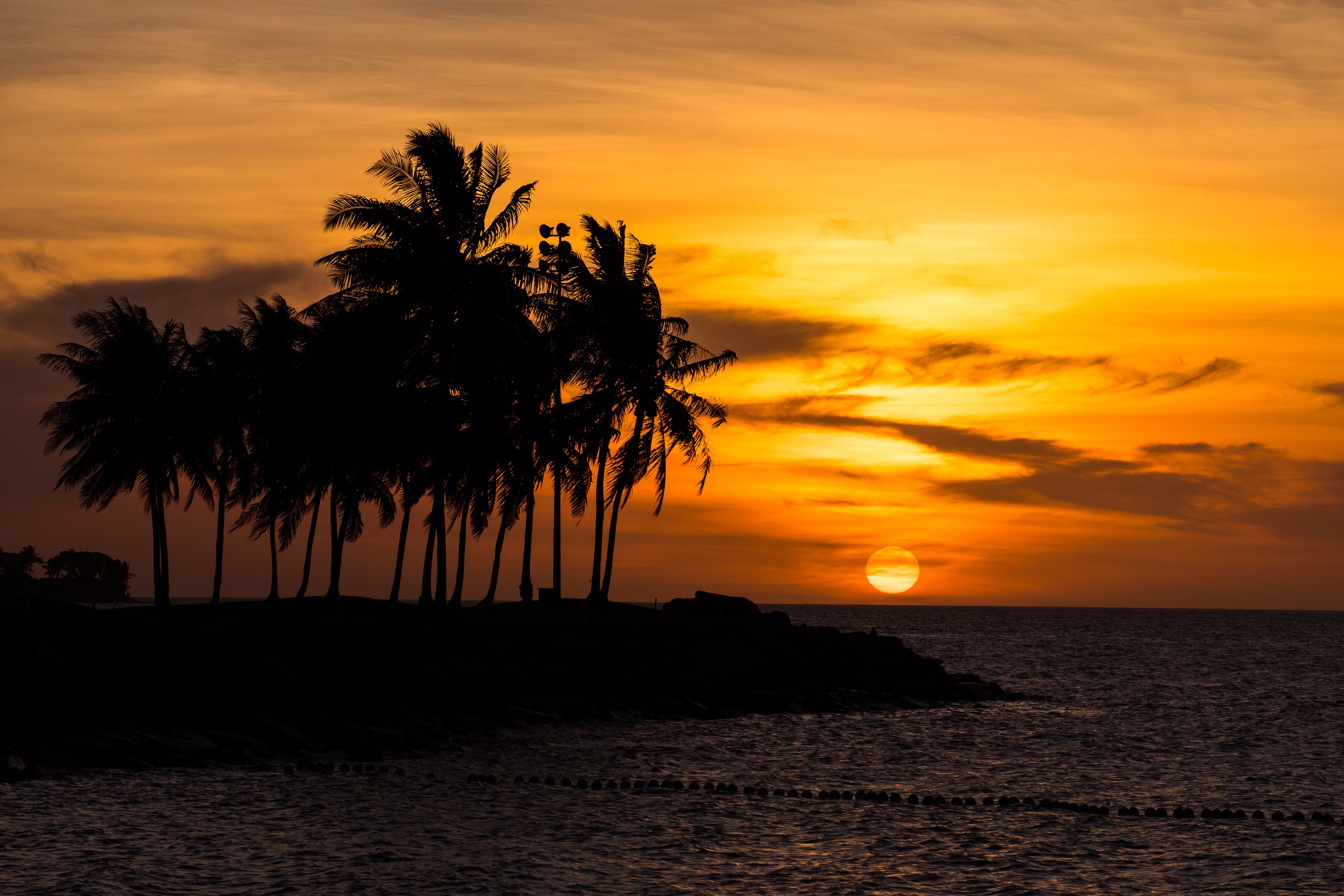 Laden Sie das Sunset, Palm, Palme, Sea, Dunkel, Strand-Bild kostenlos auf Ihren PC-Desktop herunter
