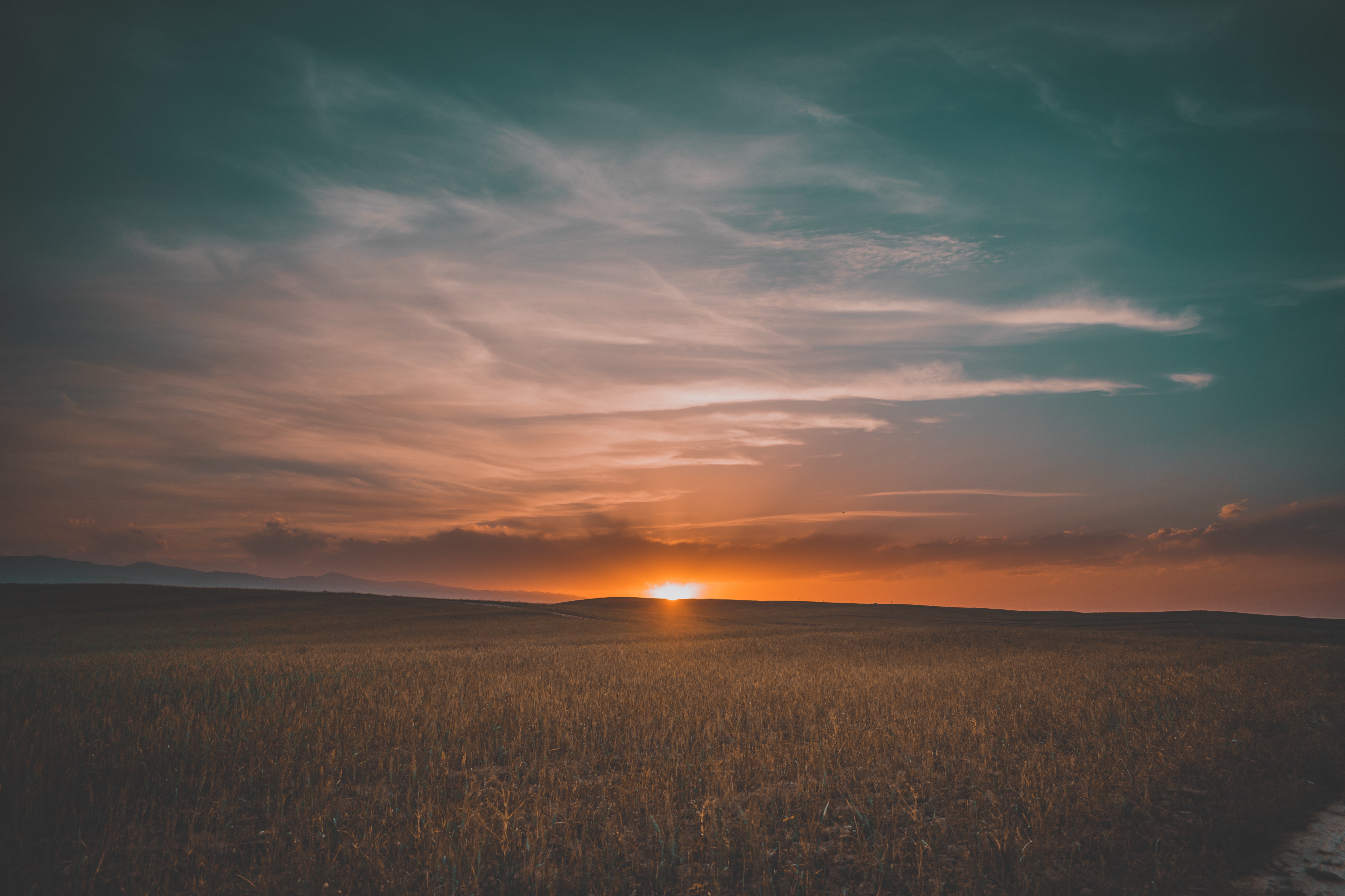 Laden Sie das Natur, Sunset, Grass, Sky, Feld-Bild kostenlos auf Ihren PC-Desktop herunter