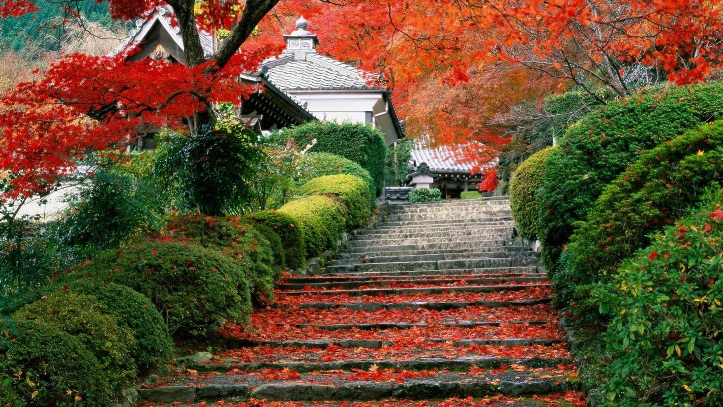 Сады Киото