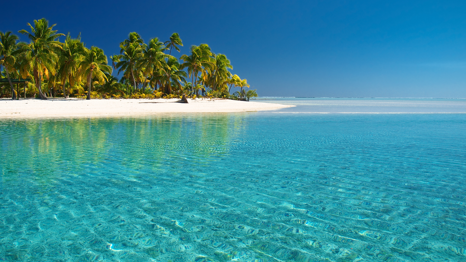 landscape, beach, sea, palms, turquoise