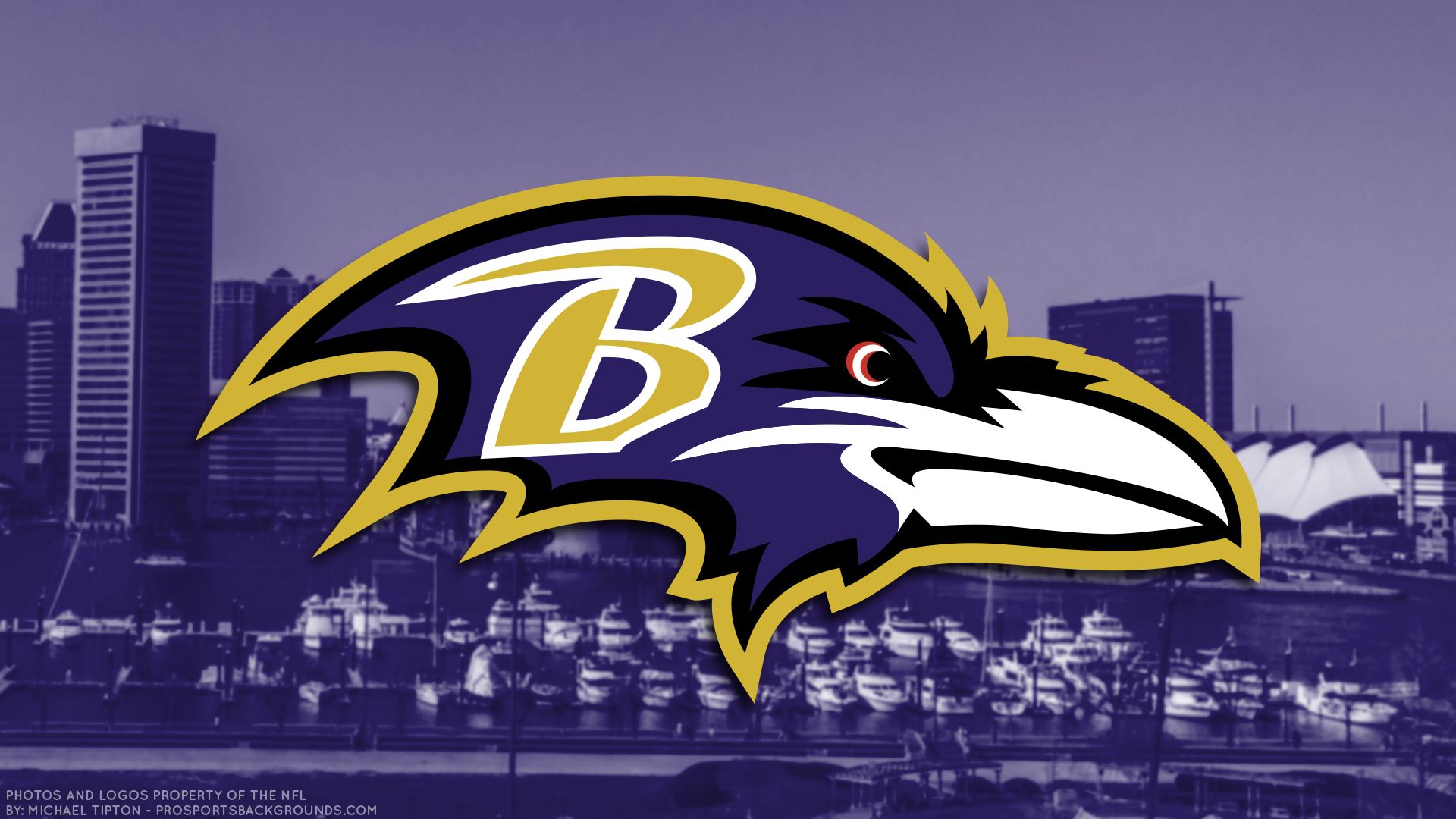 sports, baltimore ravens, emblem, logo, nfl, football Free Stock Photo