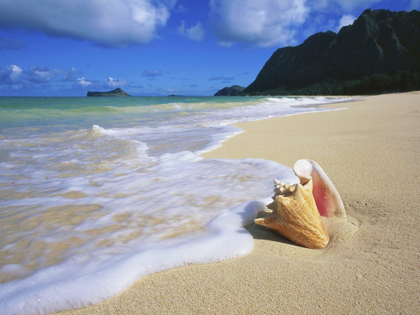 26909 descargar imagen playa, paisaje, mar, conchas: fondos de pantalla y protectores de pantalla gratis