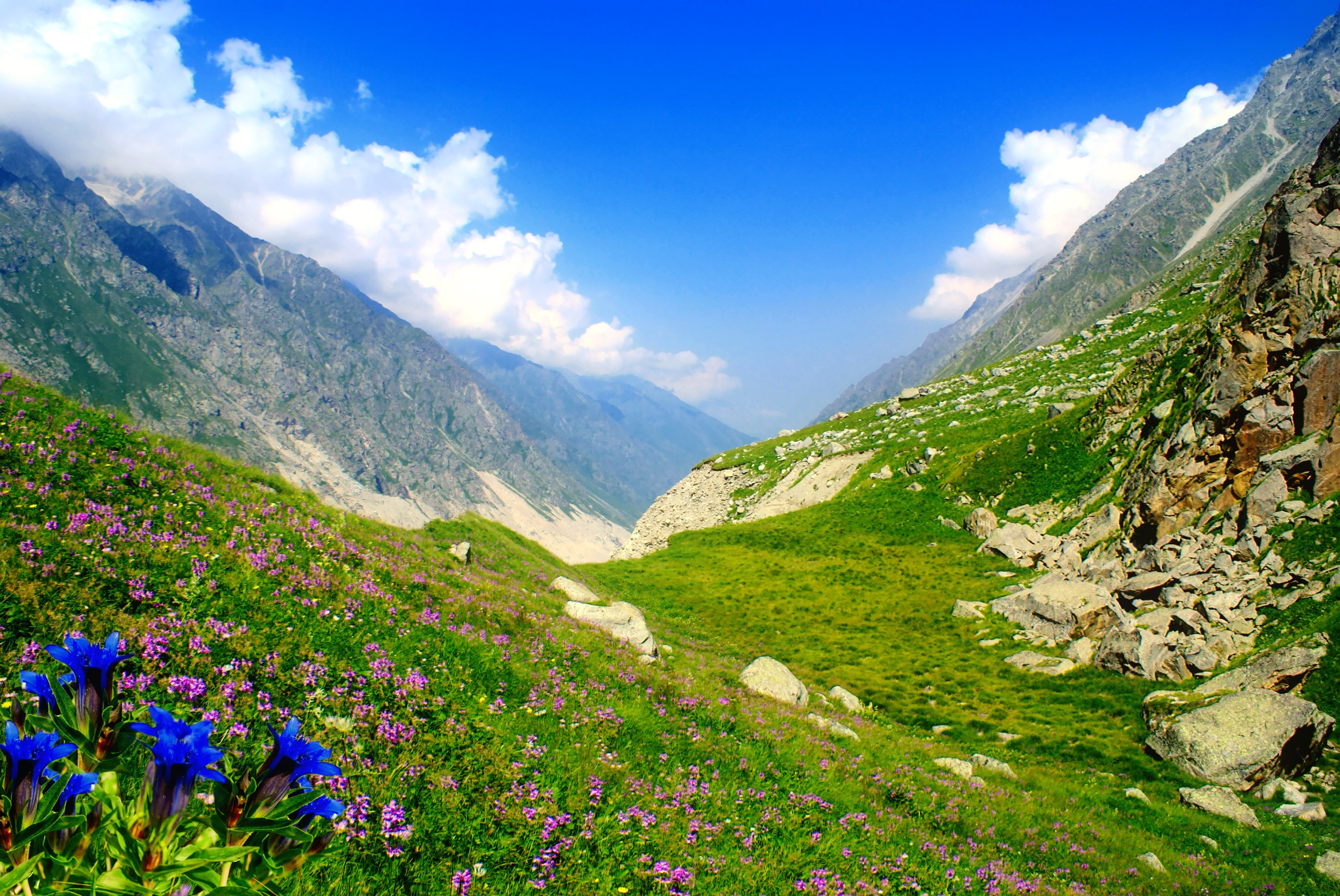 Альпийские Луга Дагестана