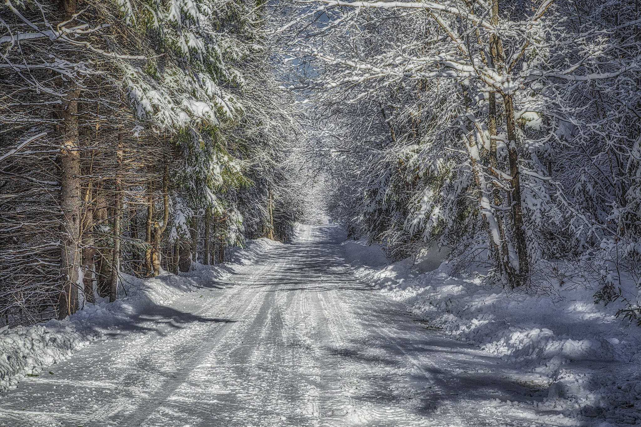 Лесная дорога зимой