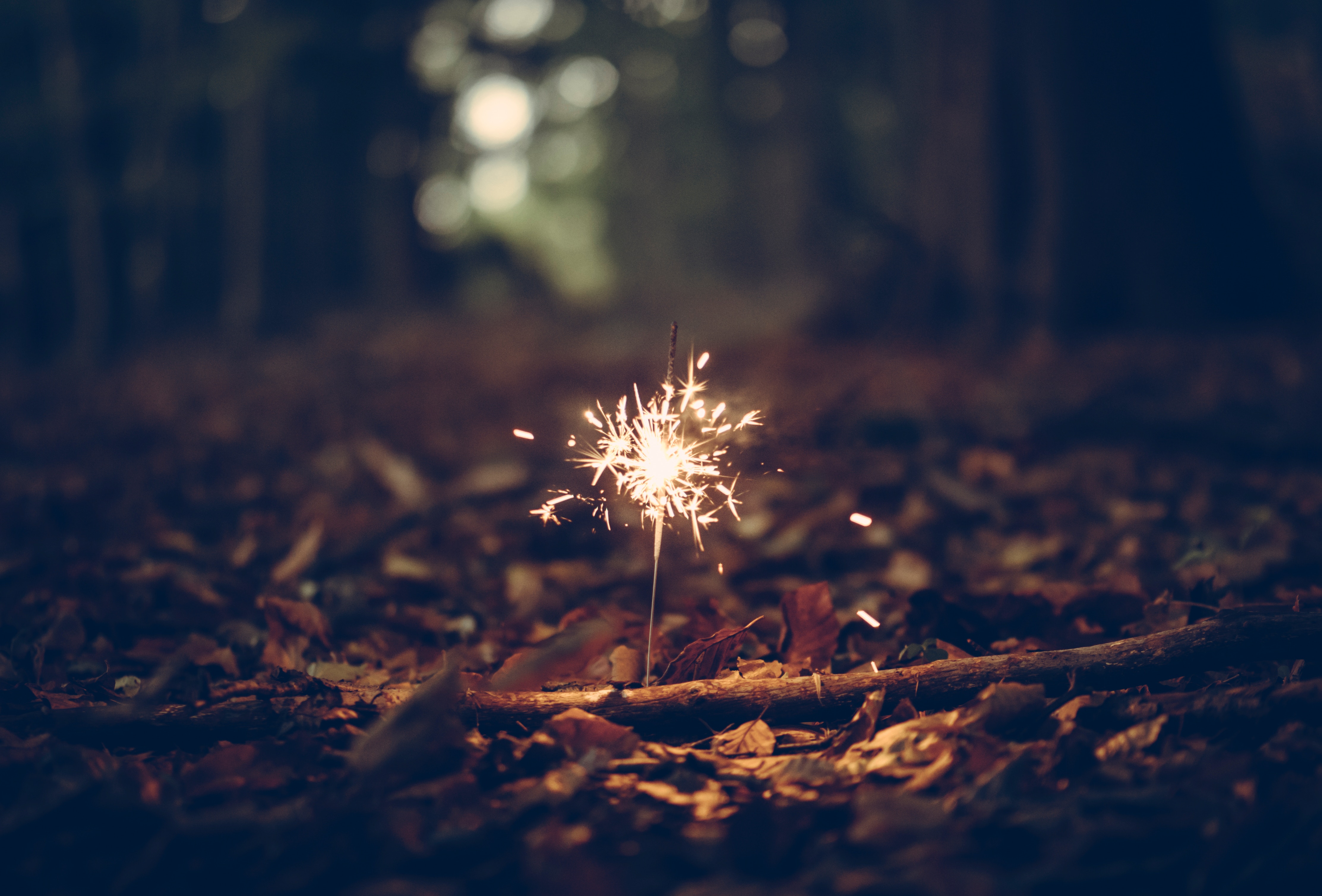 miscellanea, miscellaneous, sparkler, sparks, foliage wallpapers for tablet