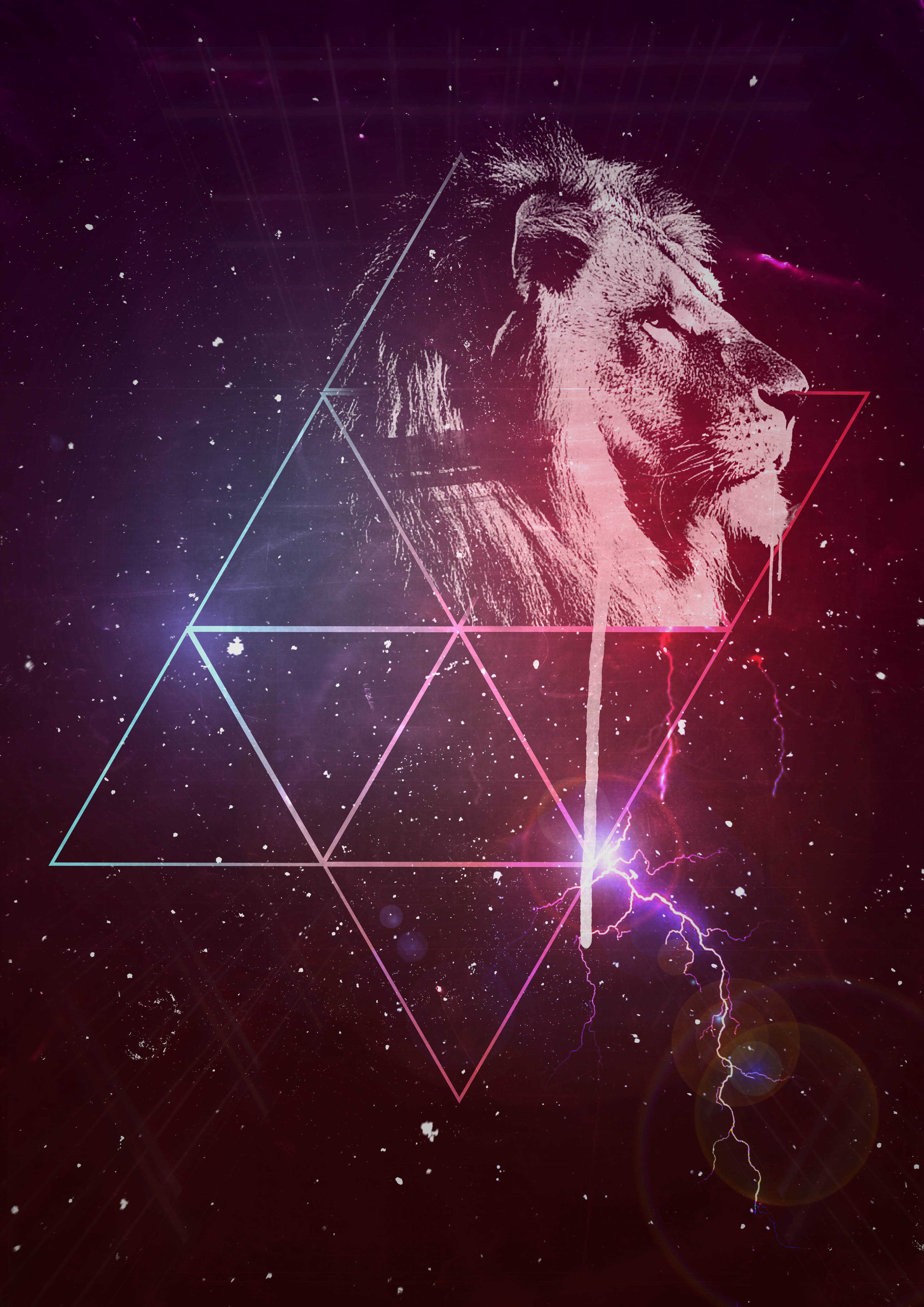 Laden Sie das Dreiecke, Sternenhimmel, Ein Löwe, Kunst, Löwe-Bild kostenlos auf Ihren PC-Desktop herunter