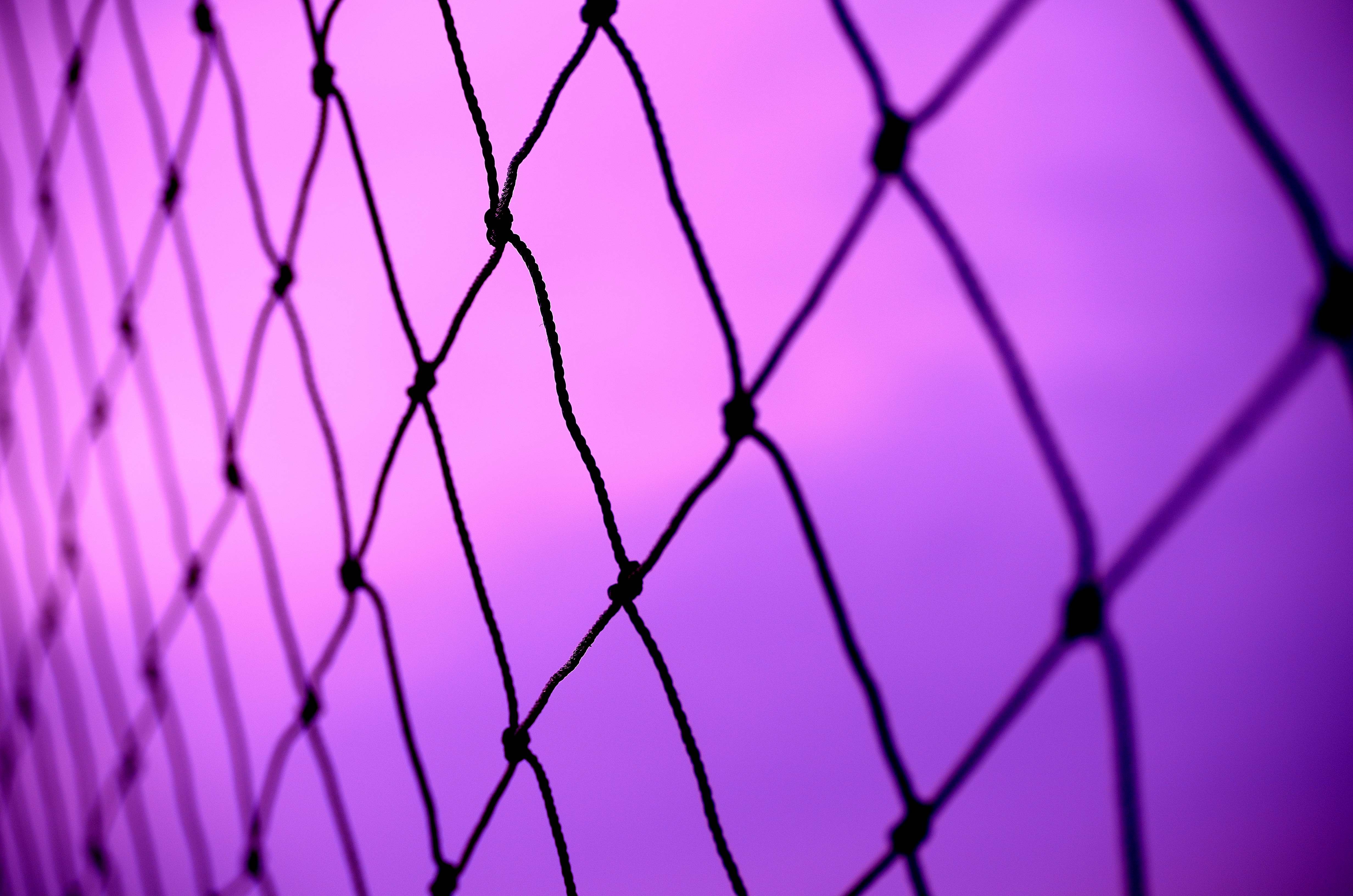 purple, background, sky, macro, grid, wicker, braided