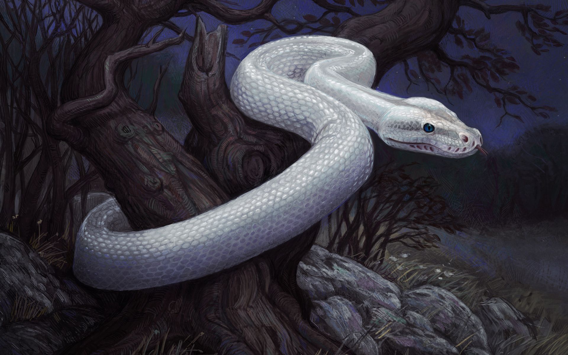 Белая змея братья Гримм
