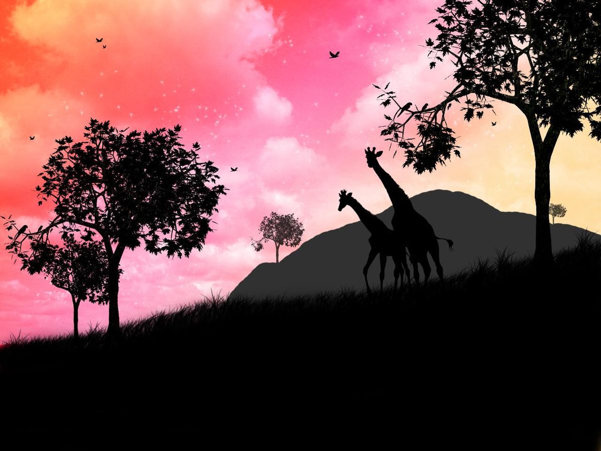 Жираф на фоне пейзажа рисунок