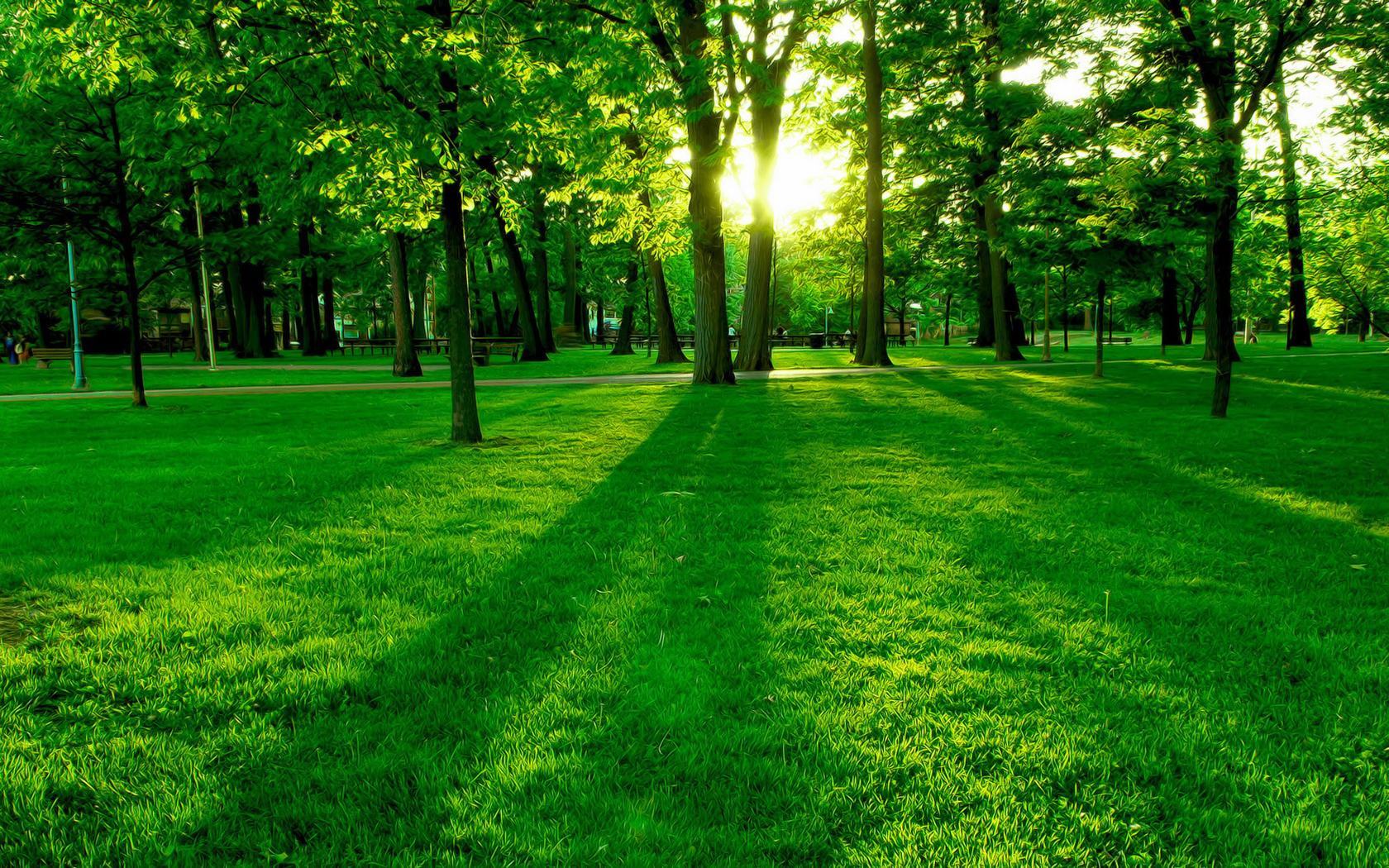 HD wallpaper trees, green, landscape, grass
