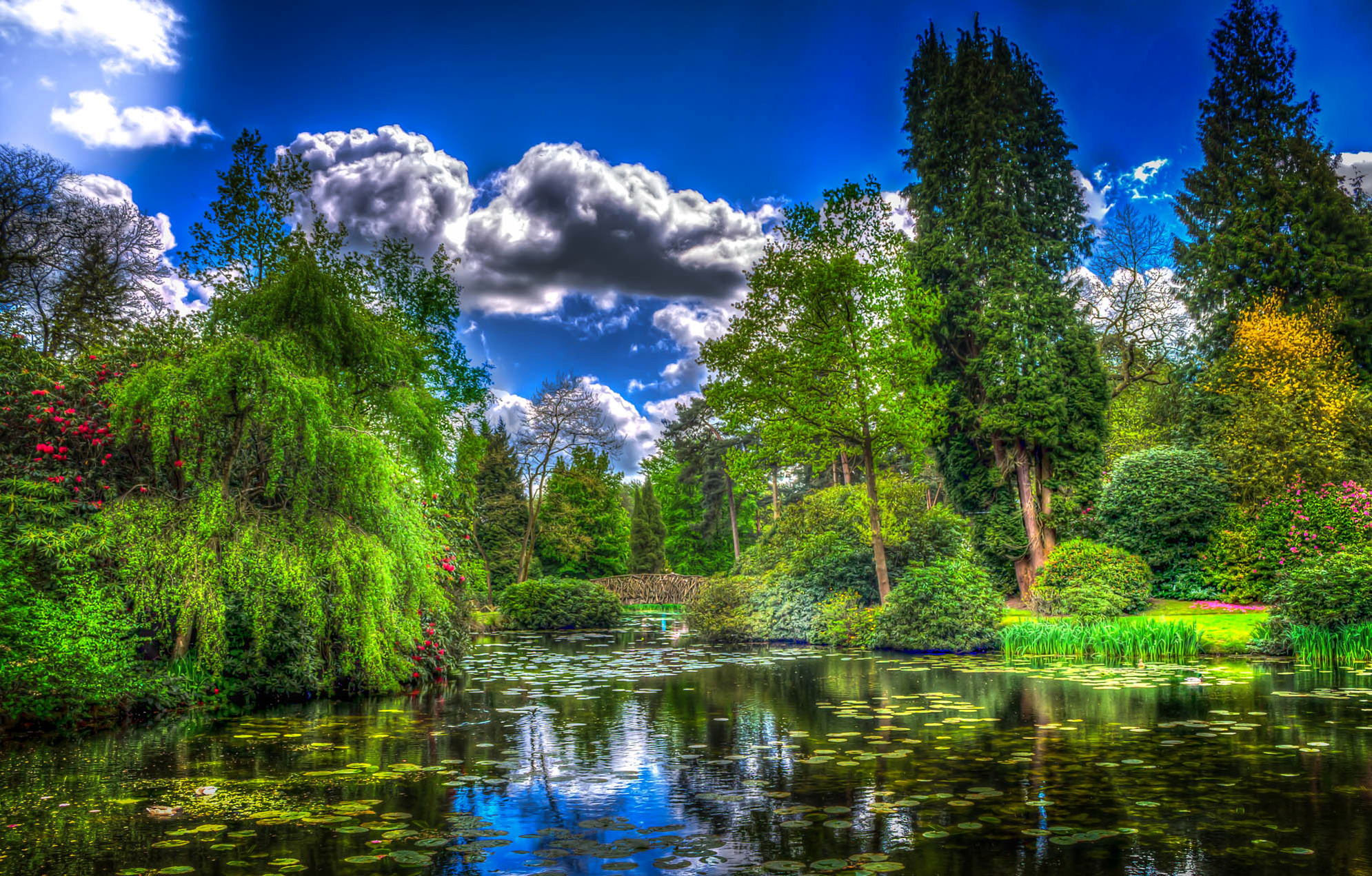 hdr, photography, england, green, lily pad, park, pond, tree phone background